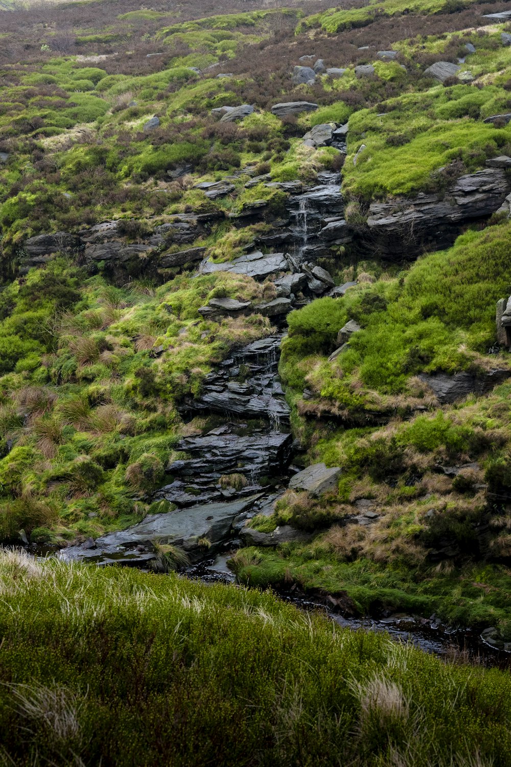 a stream running through a lush green hillside