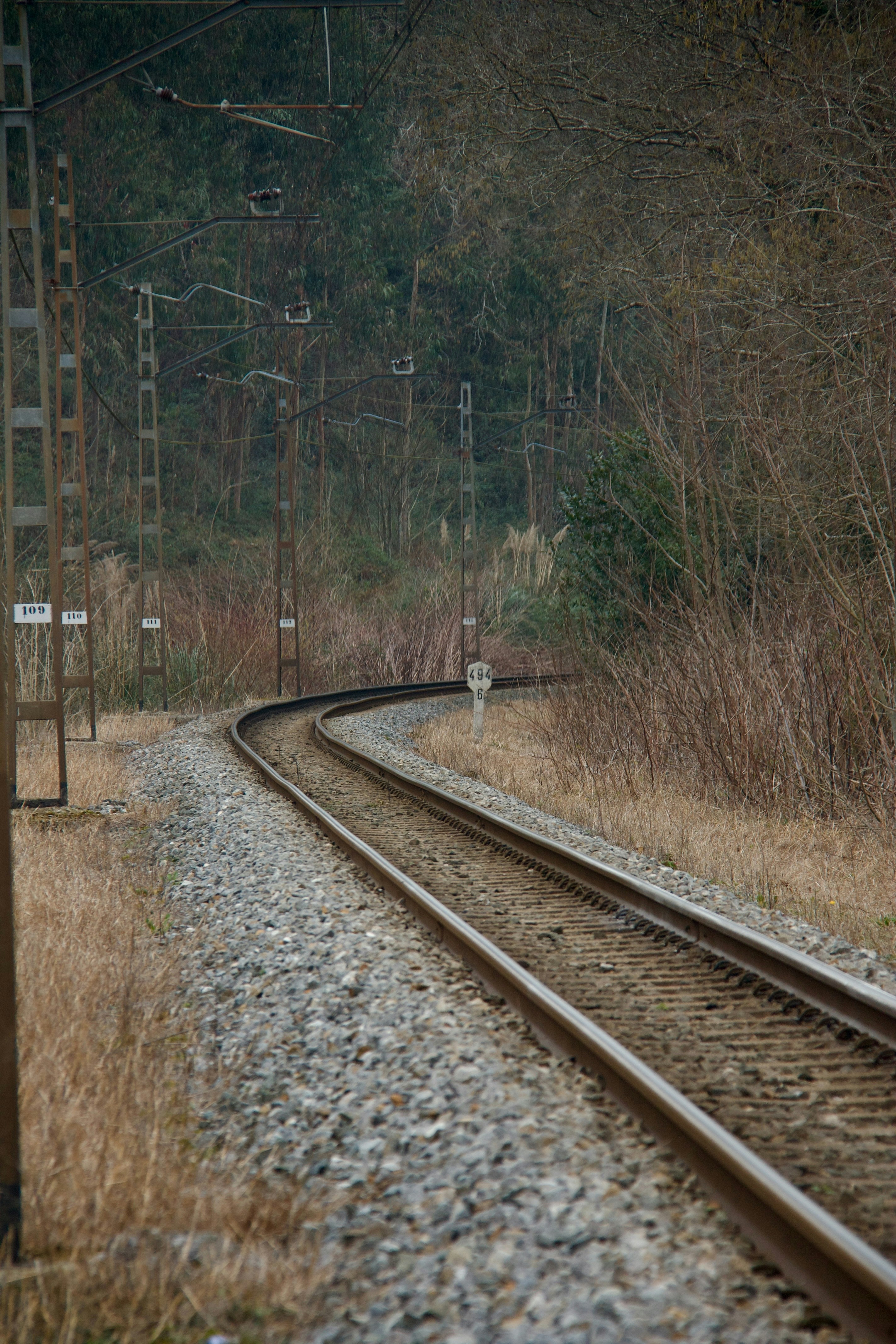 Photo by pablo_saancheezz