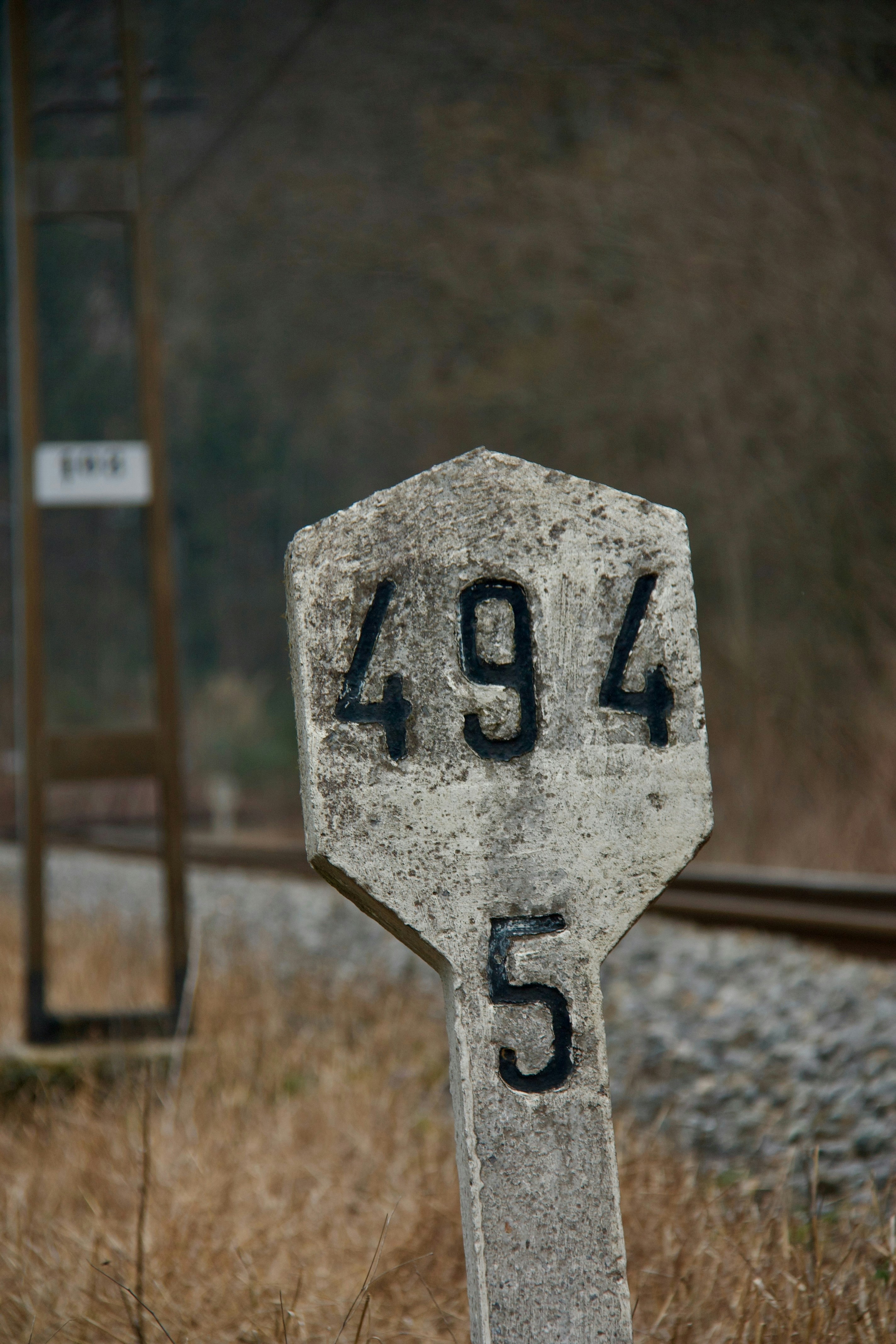 photo-1707954381850-28a58eb344e7?ixid=M3wxMjA3fDB8MXxzZWFyY2h8MTB8fCVFMCVCOCU5NyVFMCVCOCVCMiVFMCVCOCU4NyVFMCVCOSU4MCVFMCVCOCU4MiVFMCVCOSU4OSVFMCVCOCVCMiUyMG05OCUyMCVFMCVCOCVBMSVFMCVCOCVCNyVFMCVCOCVBRCVFMCVCOCU5NiVFMCVCOCVCNyVFMCVCOCVBRHxlbnwwfHx8fDE3NTU2NjE4MzF8MA\u0026ixlib=rb-4.1.0