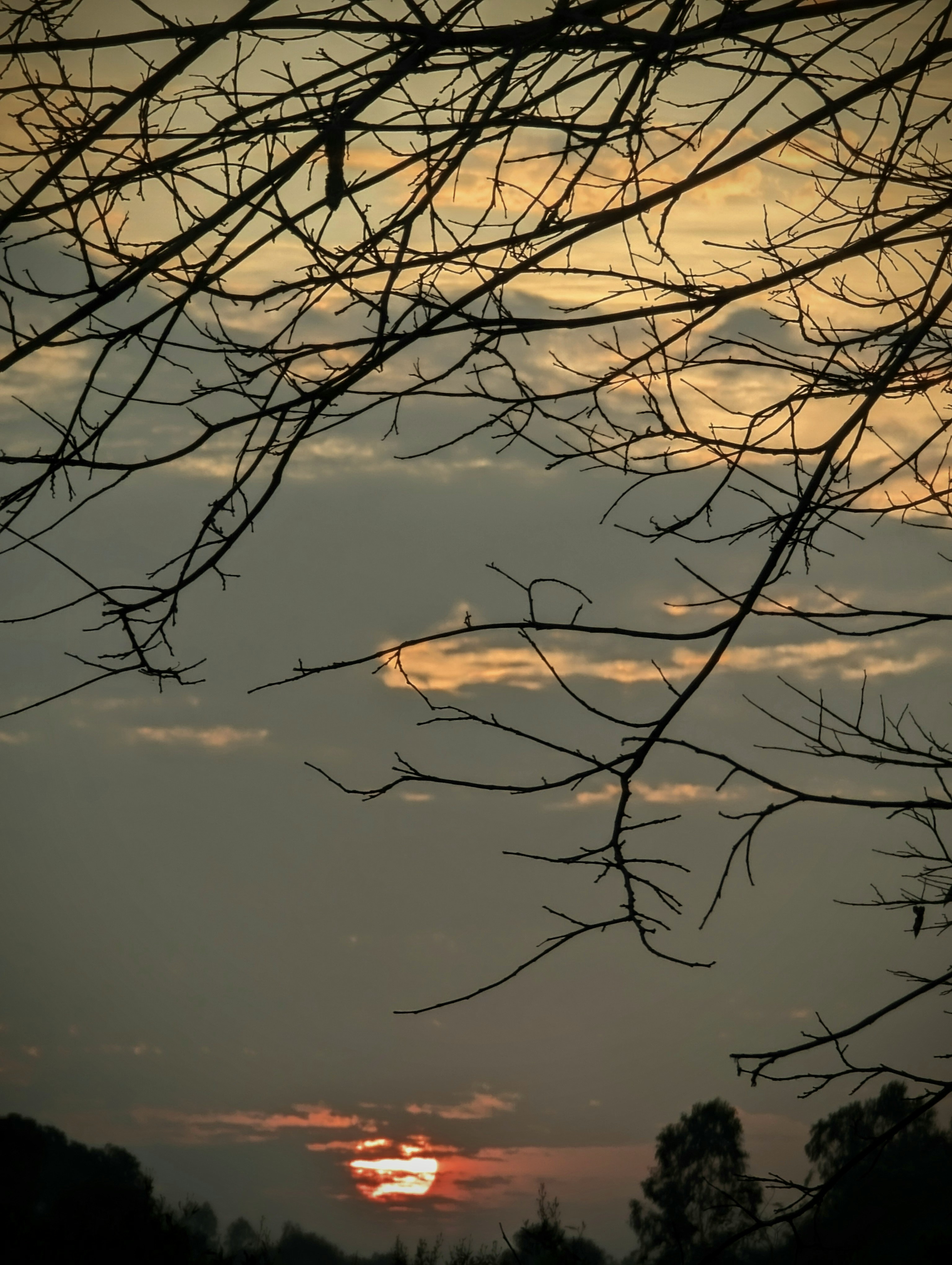 Photo by sudhanshu221b