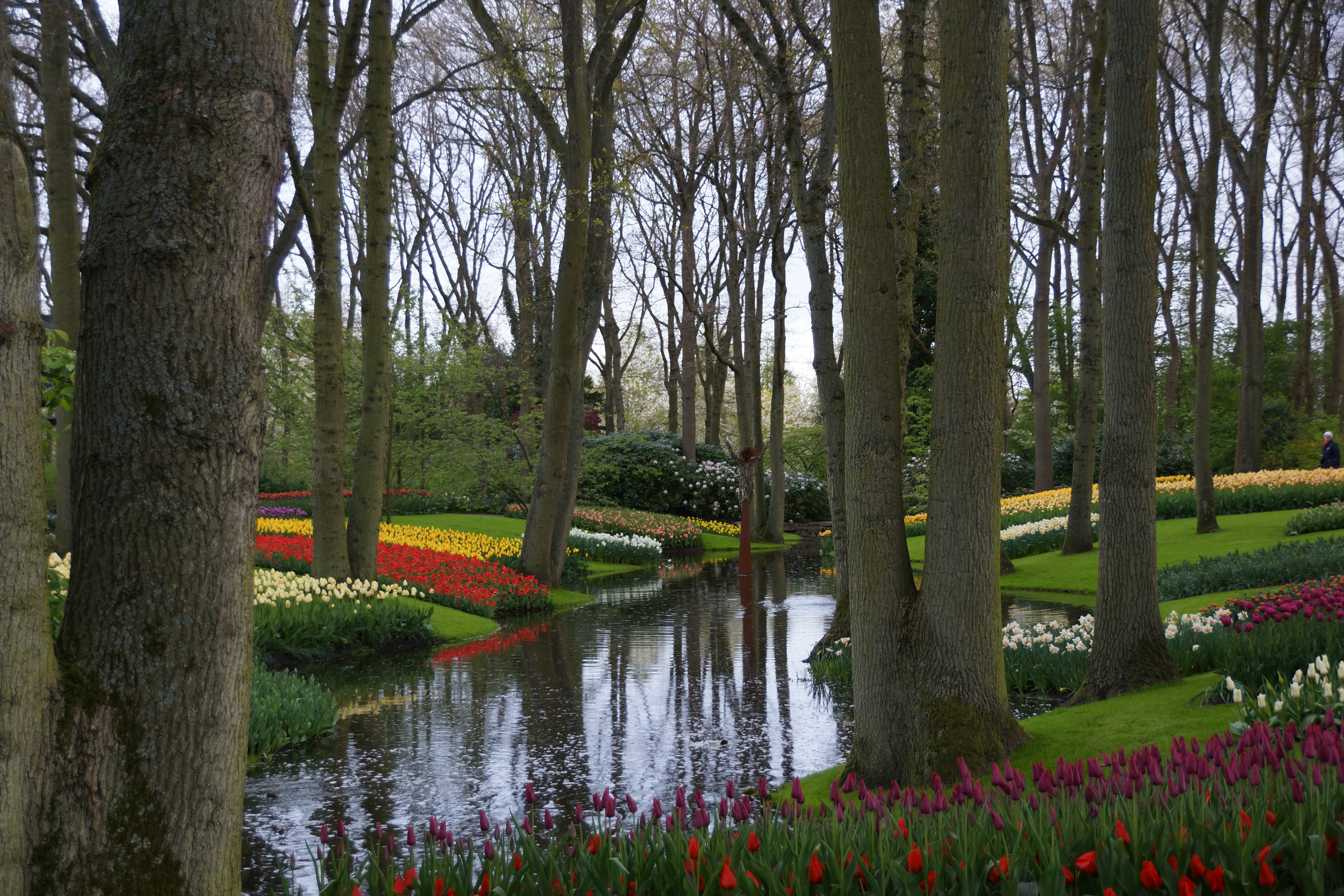 Photo by qld_traveller