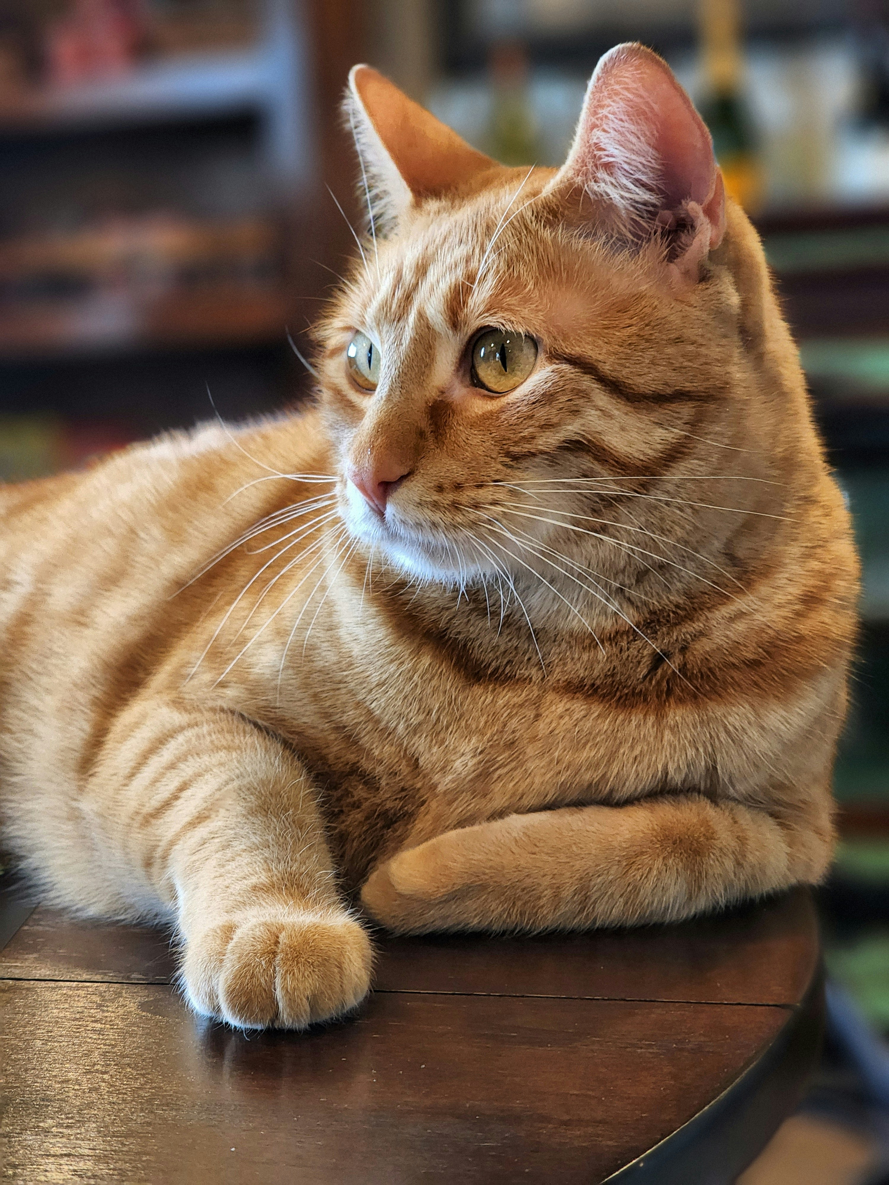 Photo by pitrich0132