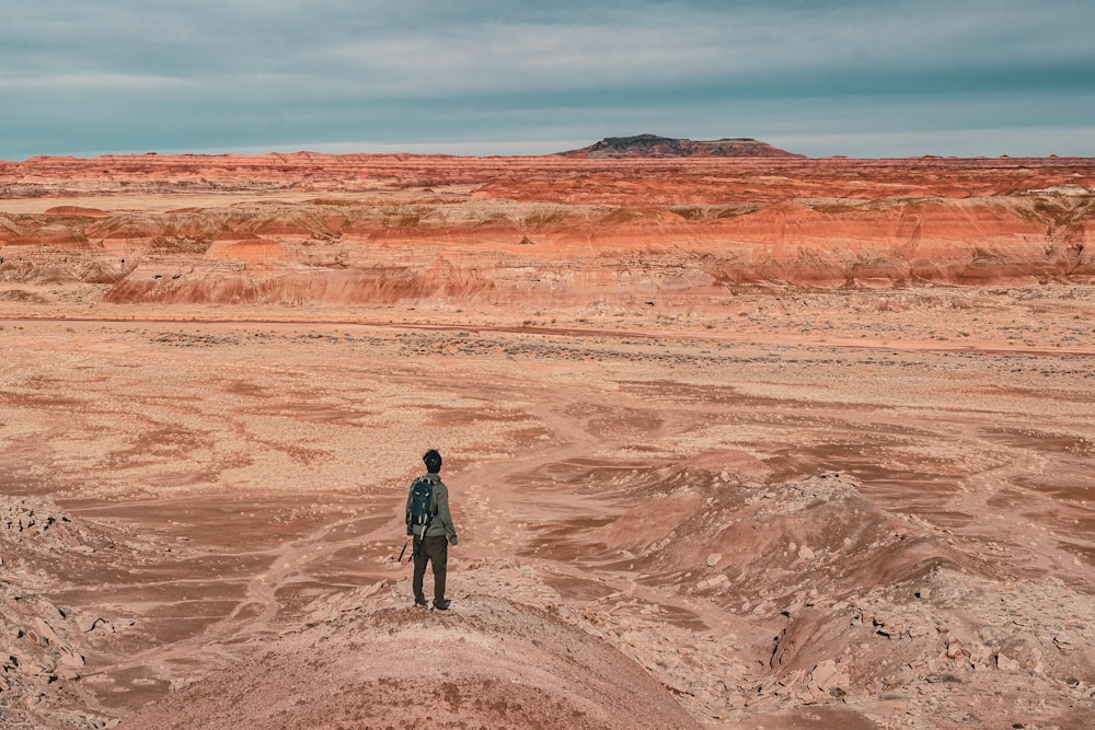 a person standing in the middle of a desert