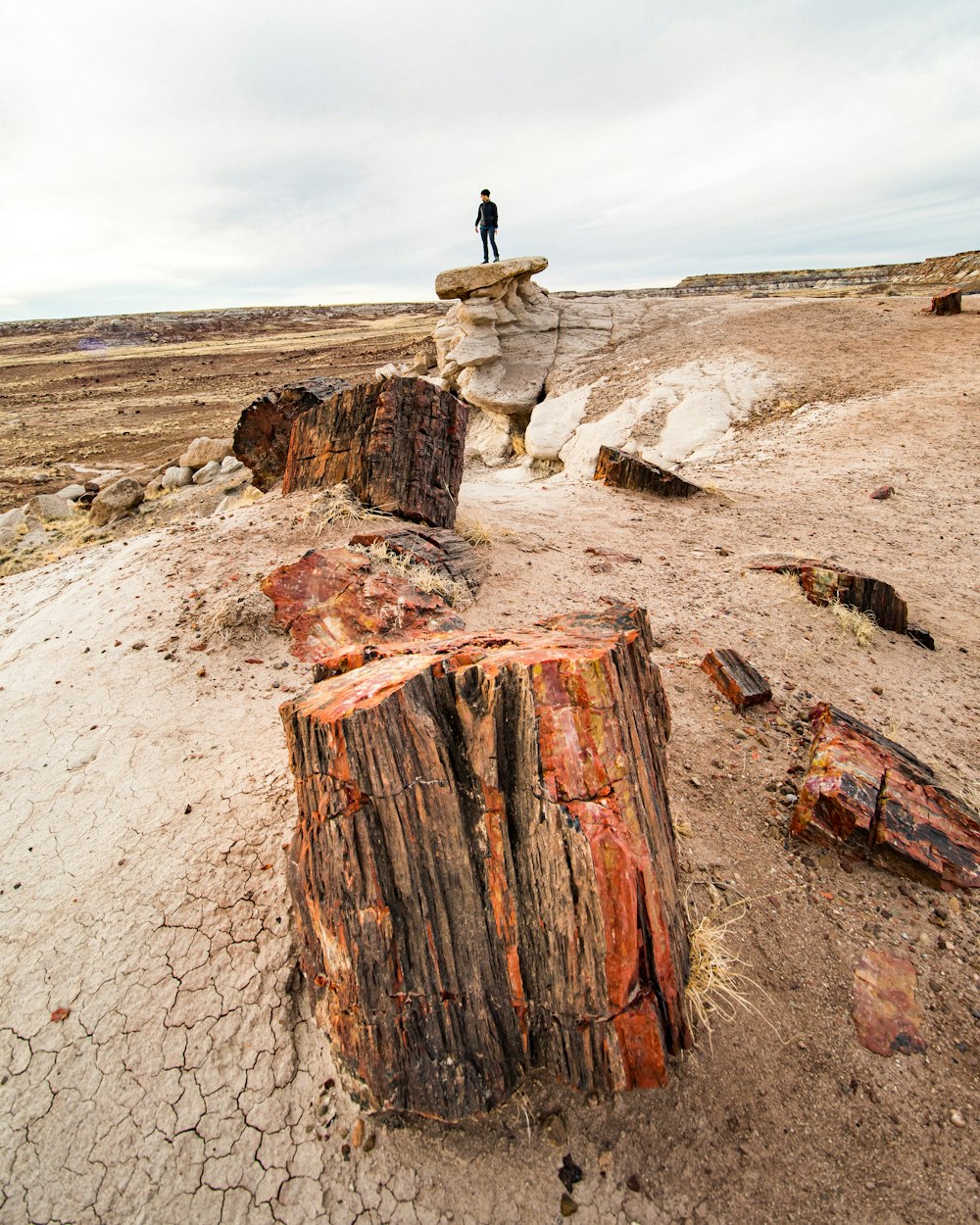 a person standing on top of a rock formation