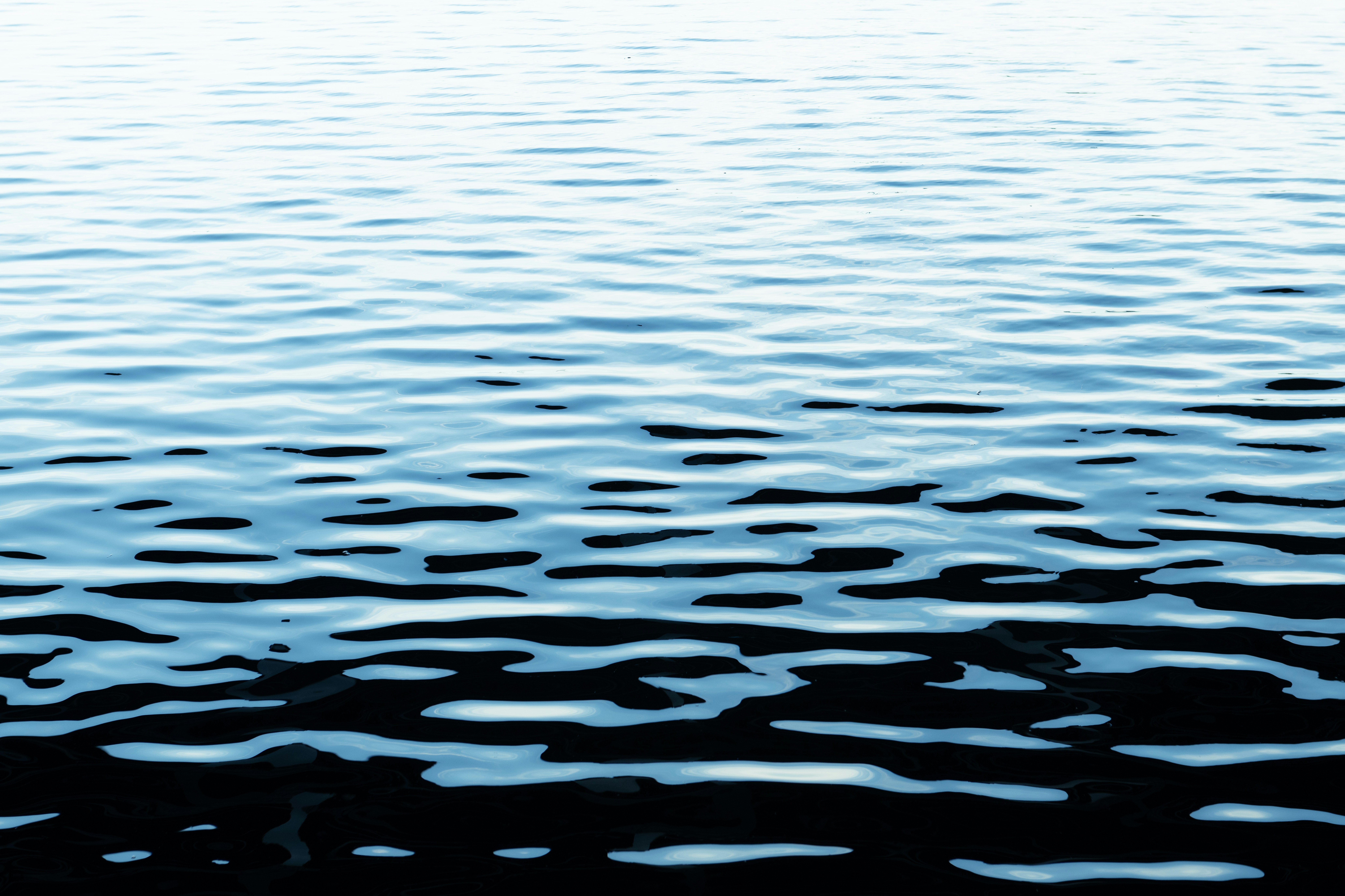 Photo by sriniunsplash