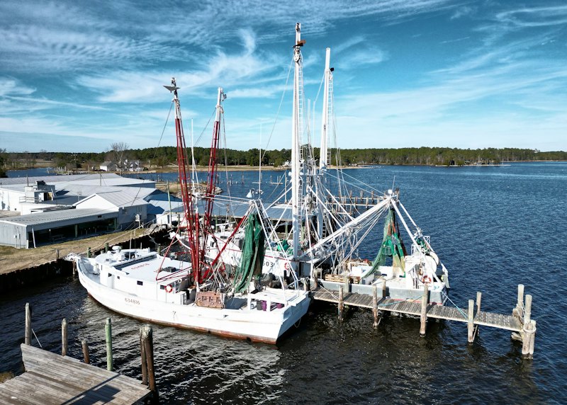 Fishing boats docked at a harbor