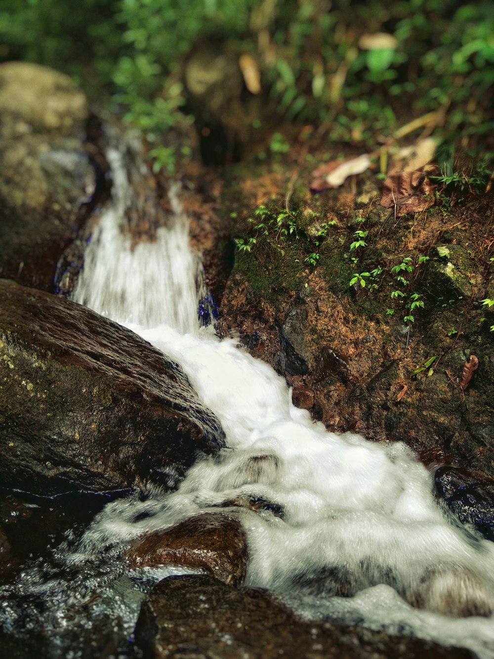 a stream of water running over rocks in a forest