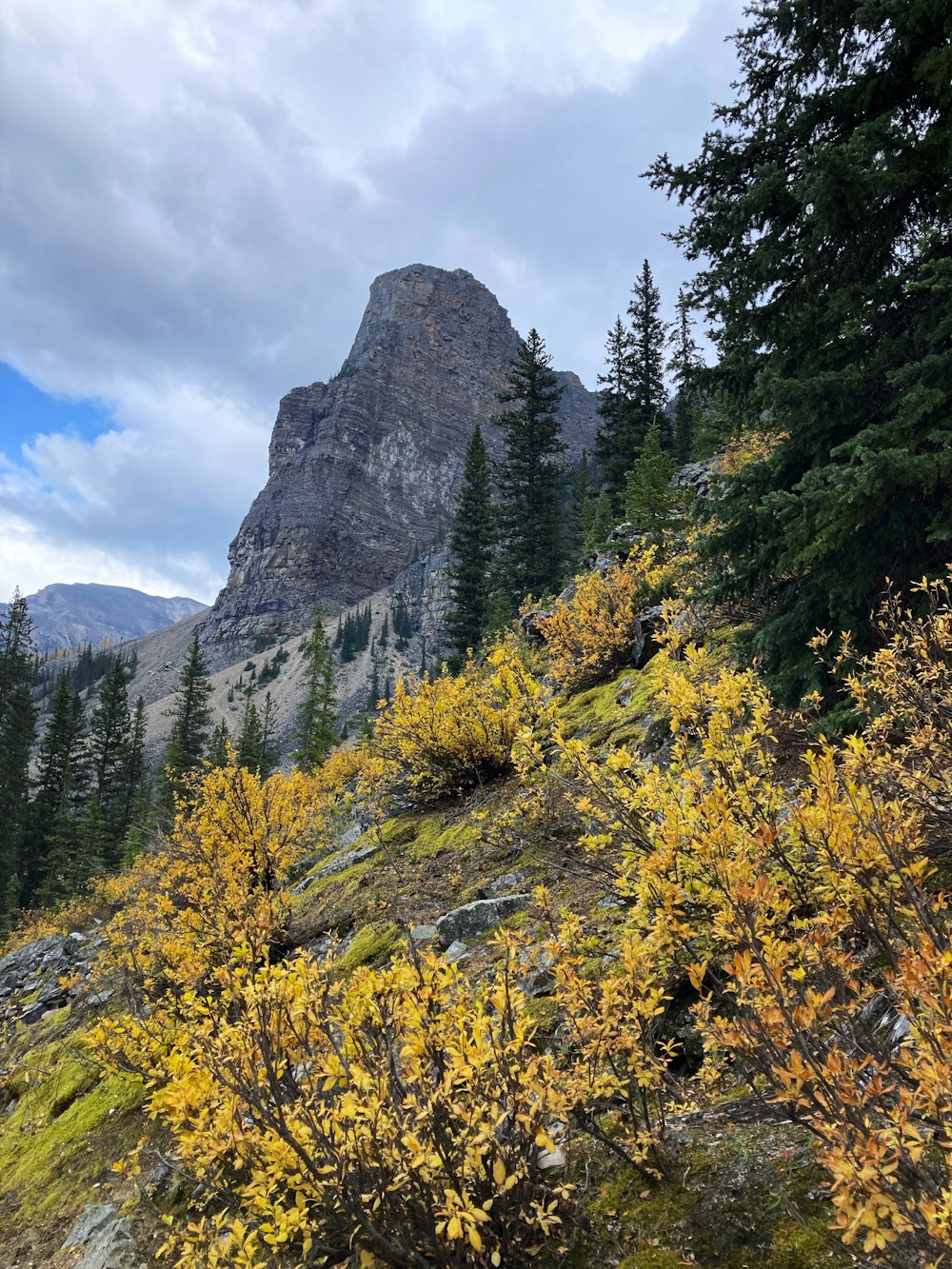 a view of a mountain with trees and rocks