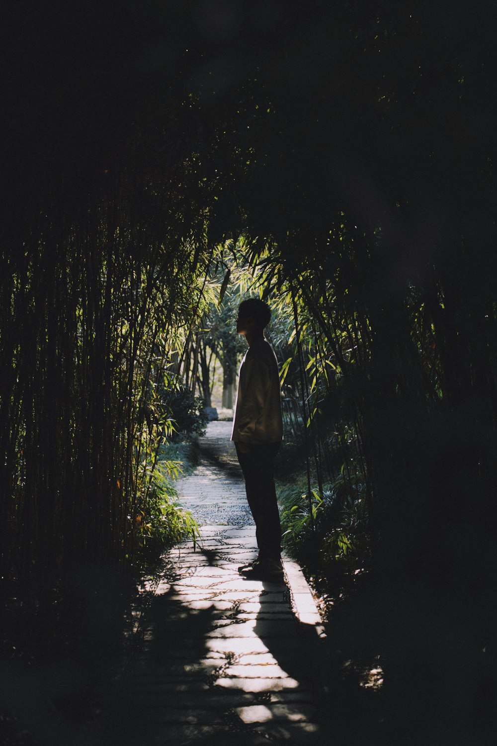 a person walking down a path in the dark