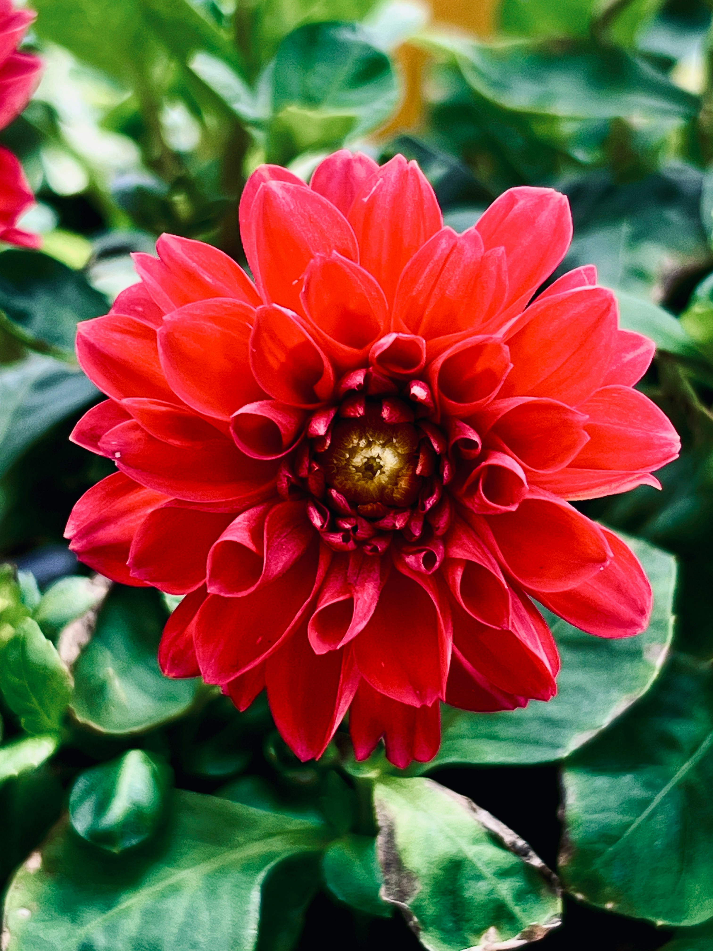 Photo by thanhliem178