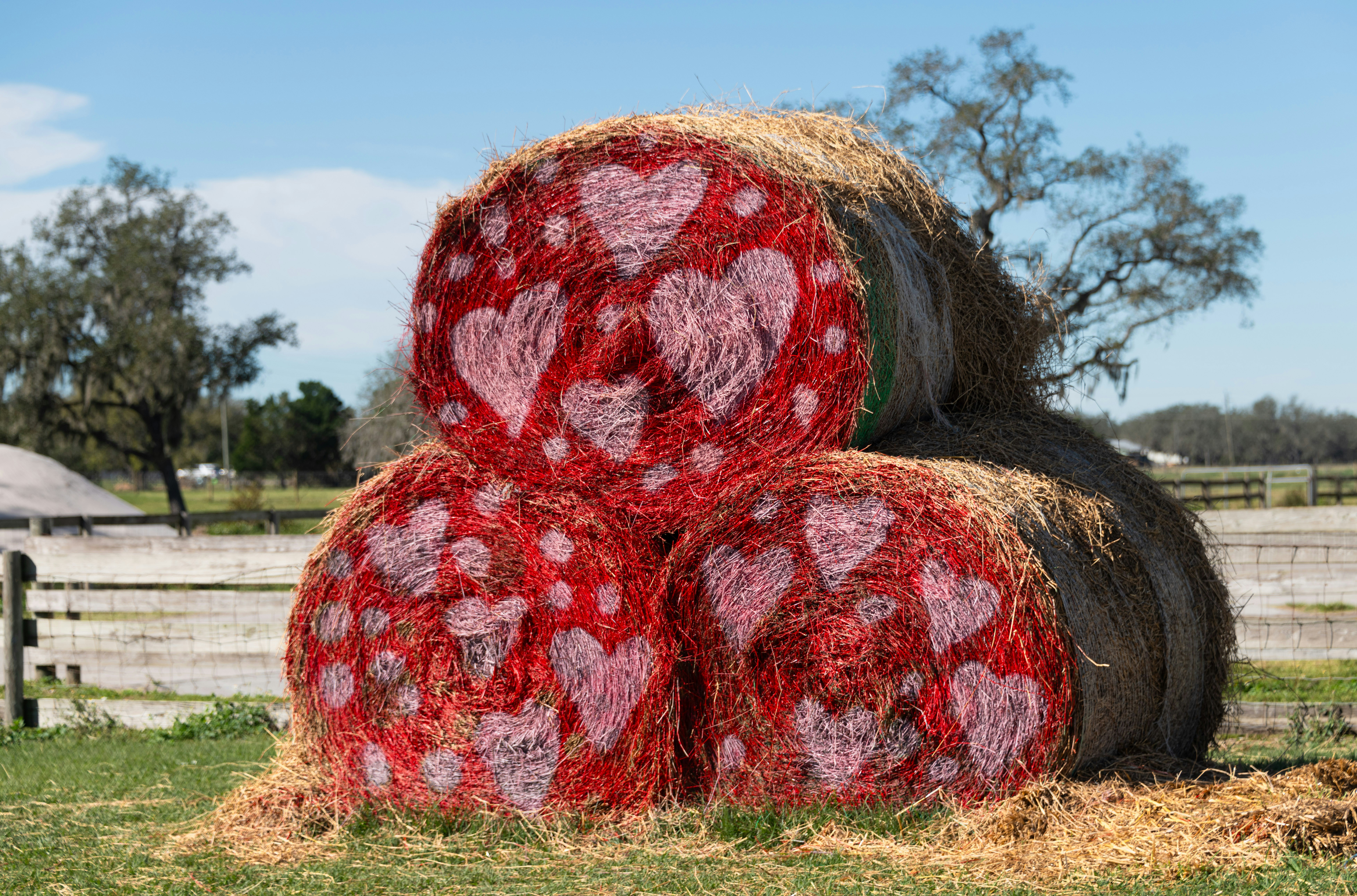 a pile of hay sitting on top of a lush green field