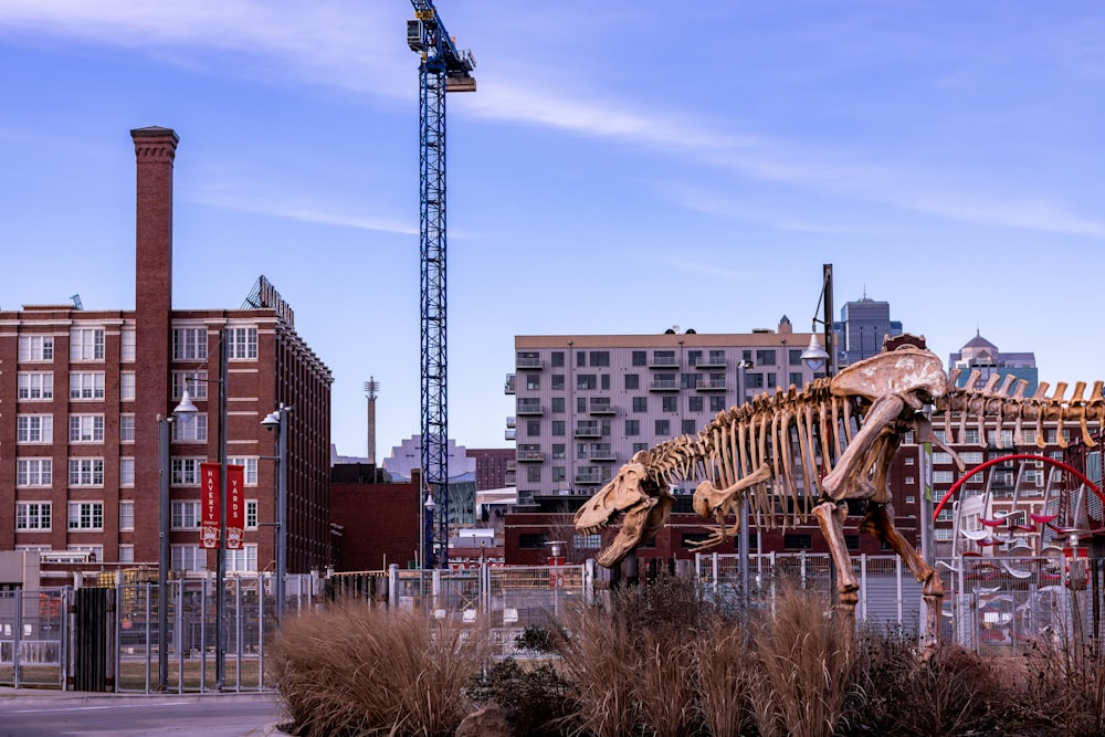 a large dinosaur skeleton in front of a tall building