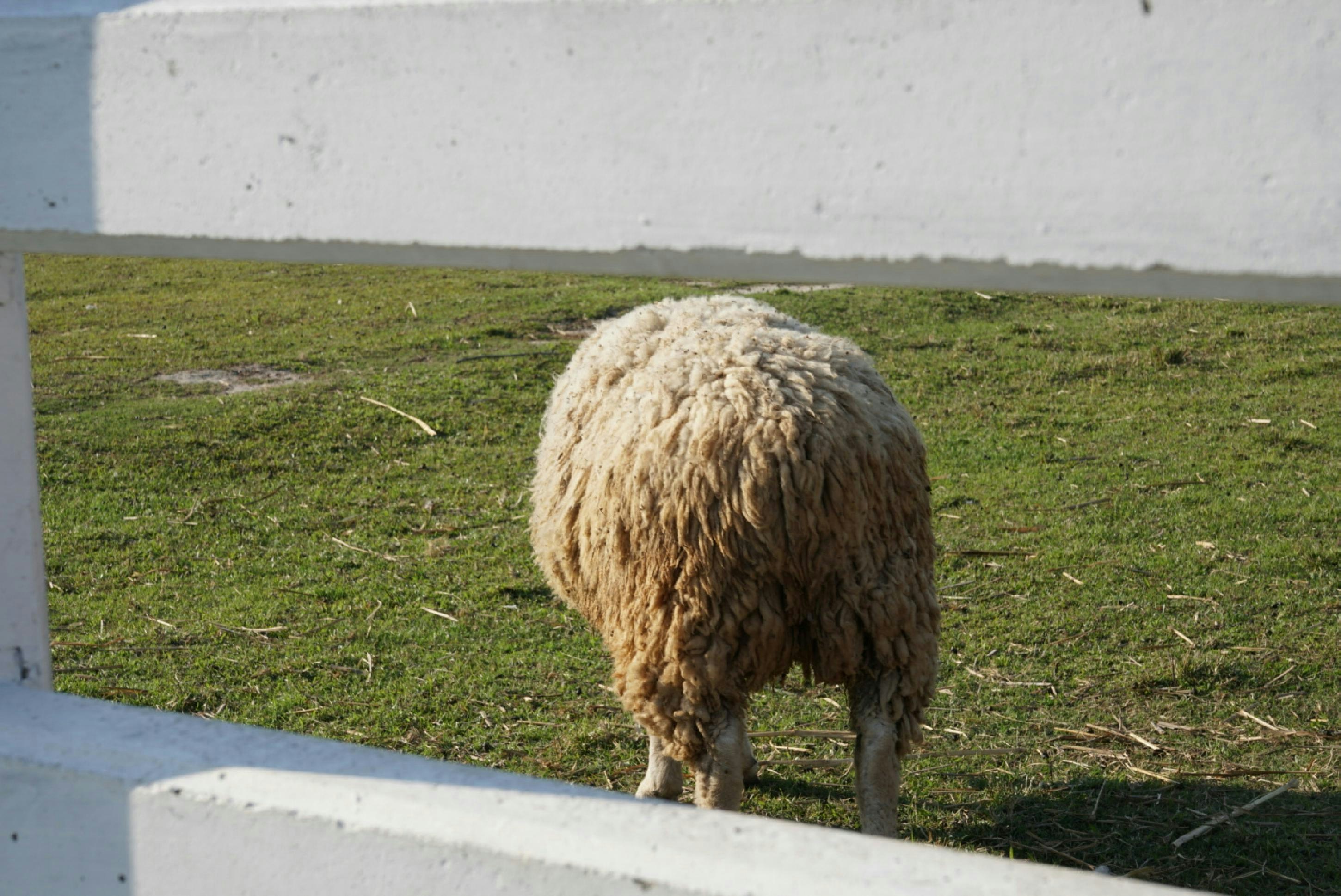 Photo by benpaveenuch