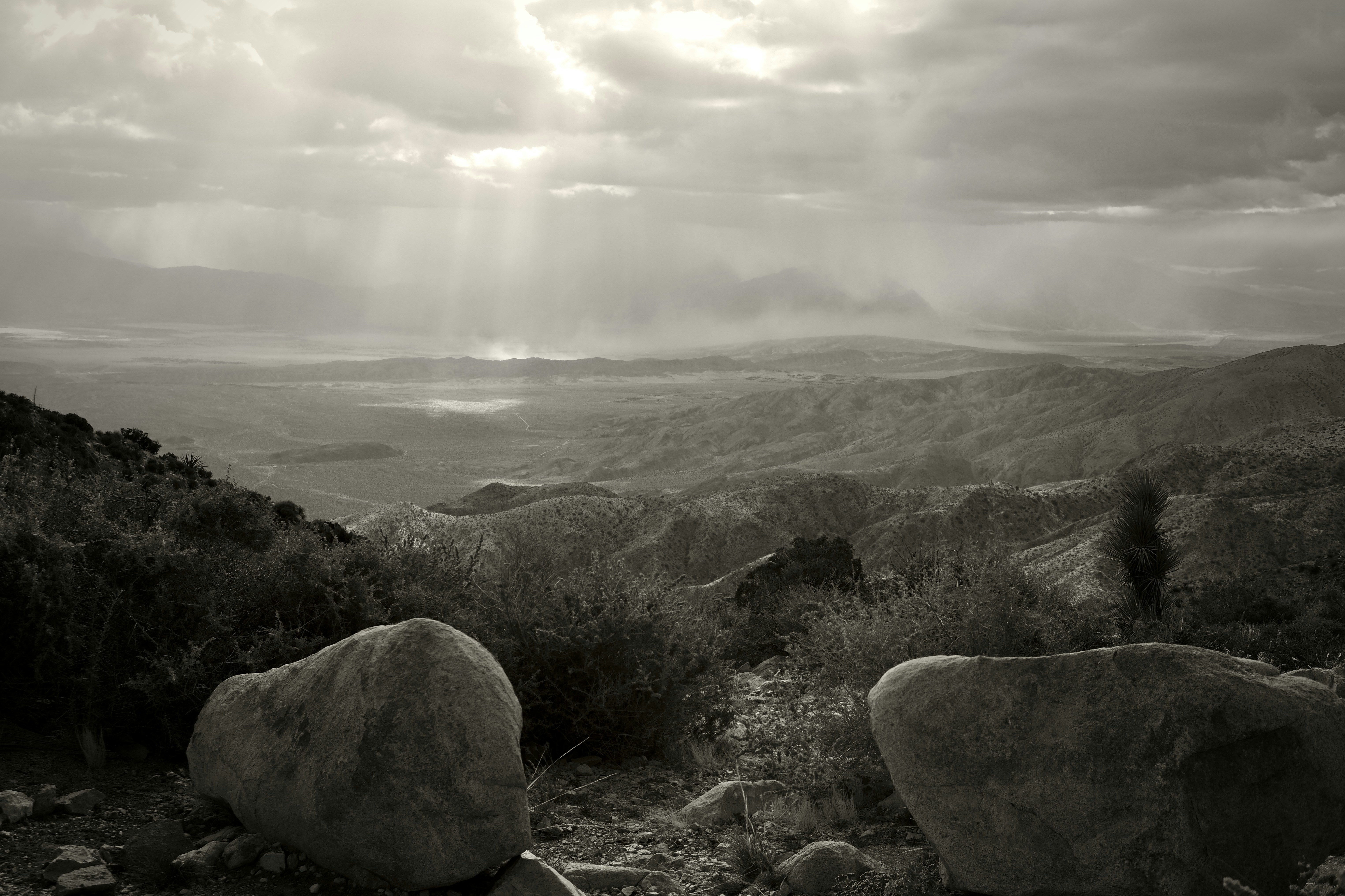 Photo by elsieanderson