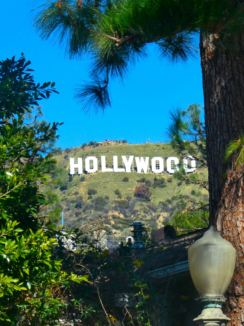 the hollywood sign is visible through the trees