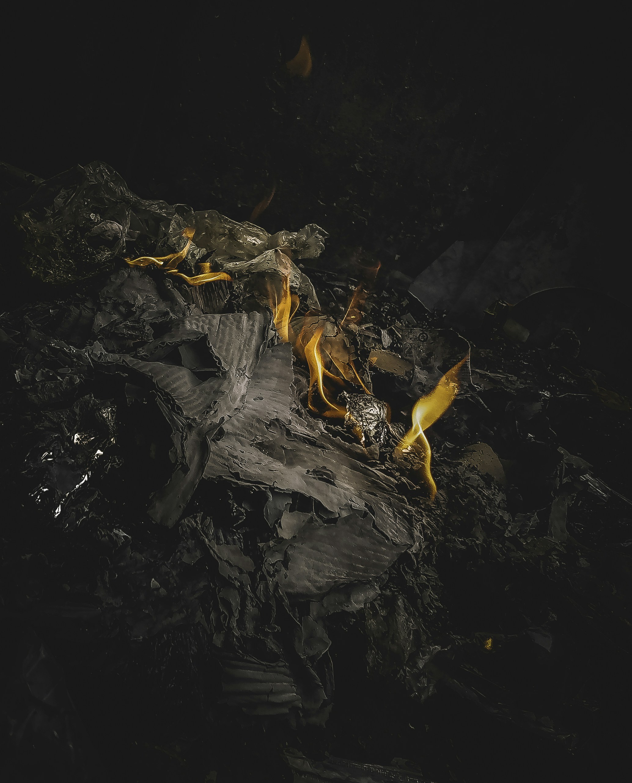 Photo by adiosjava