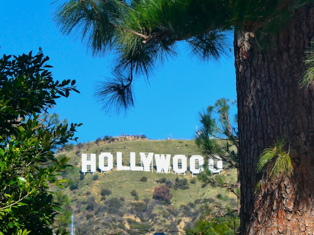 a sign that is on the side of a mountain