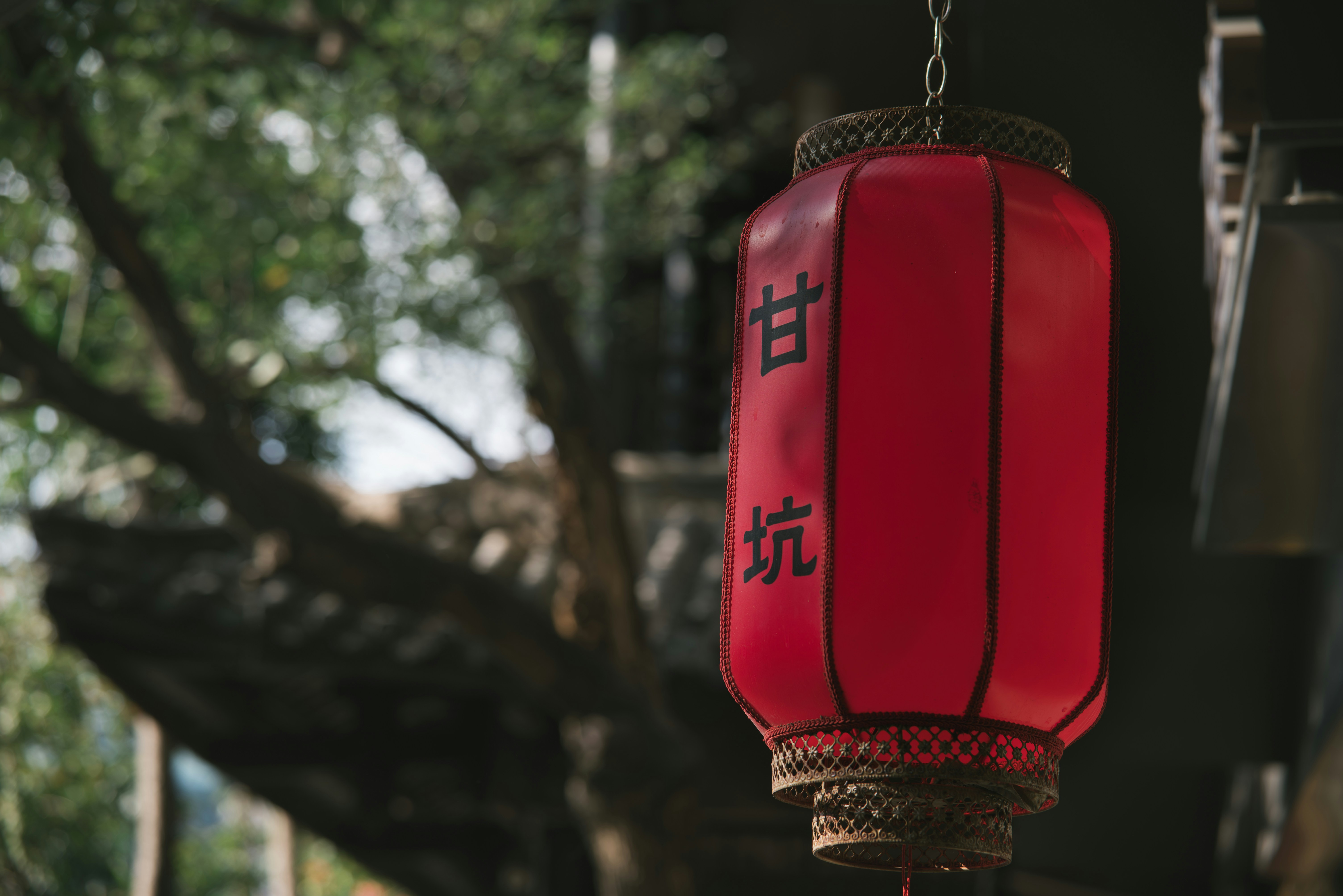 Photo by wangbinghua