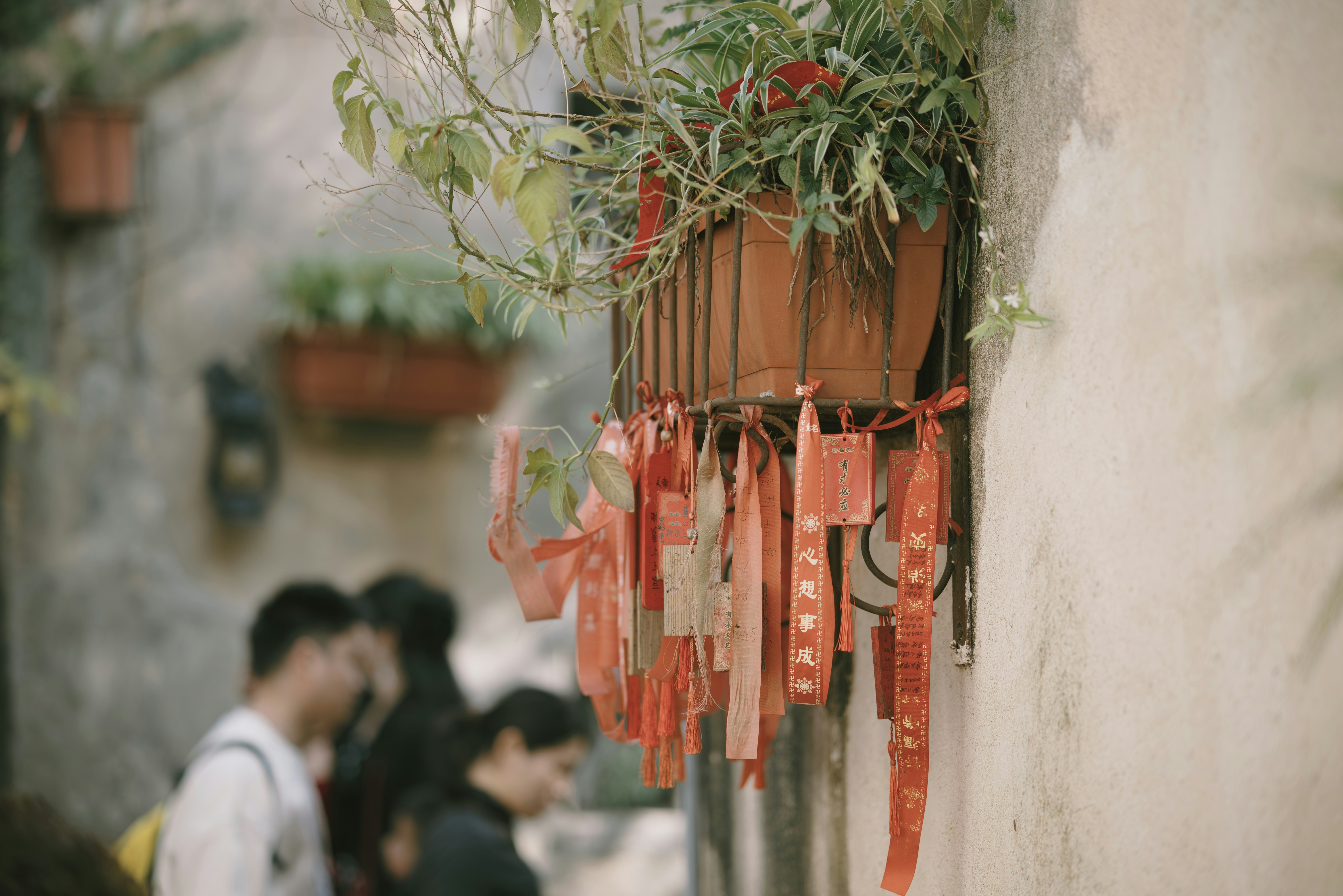 Photo by wangbinghua