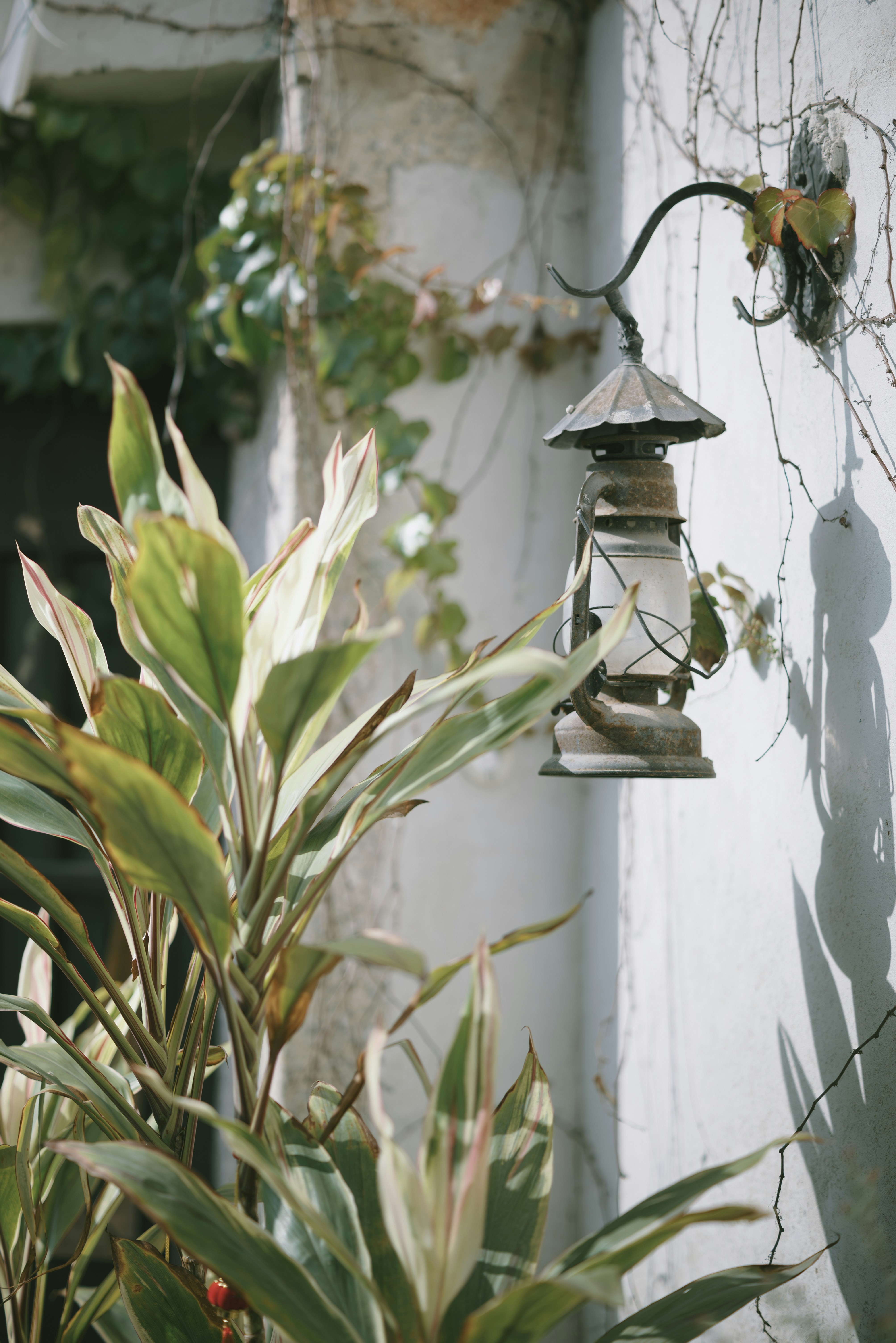 Photo by wangbinghua