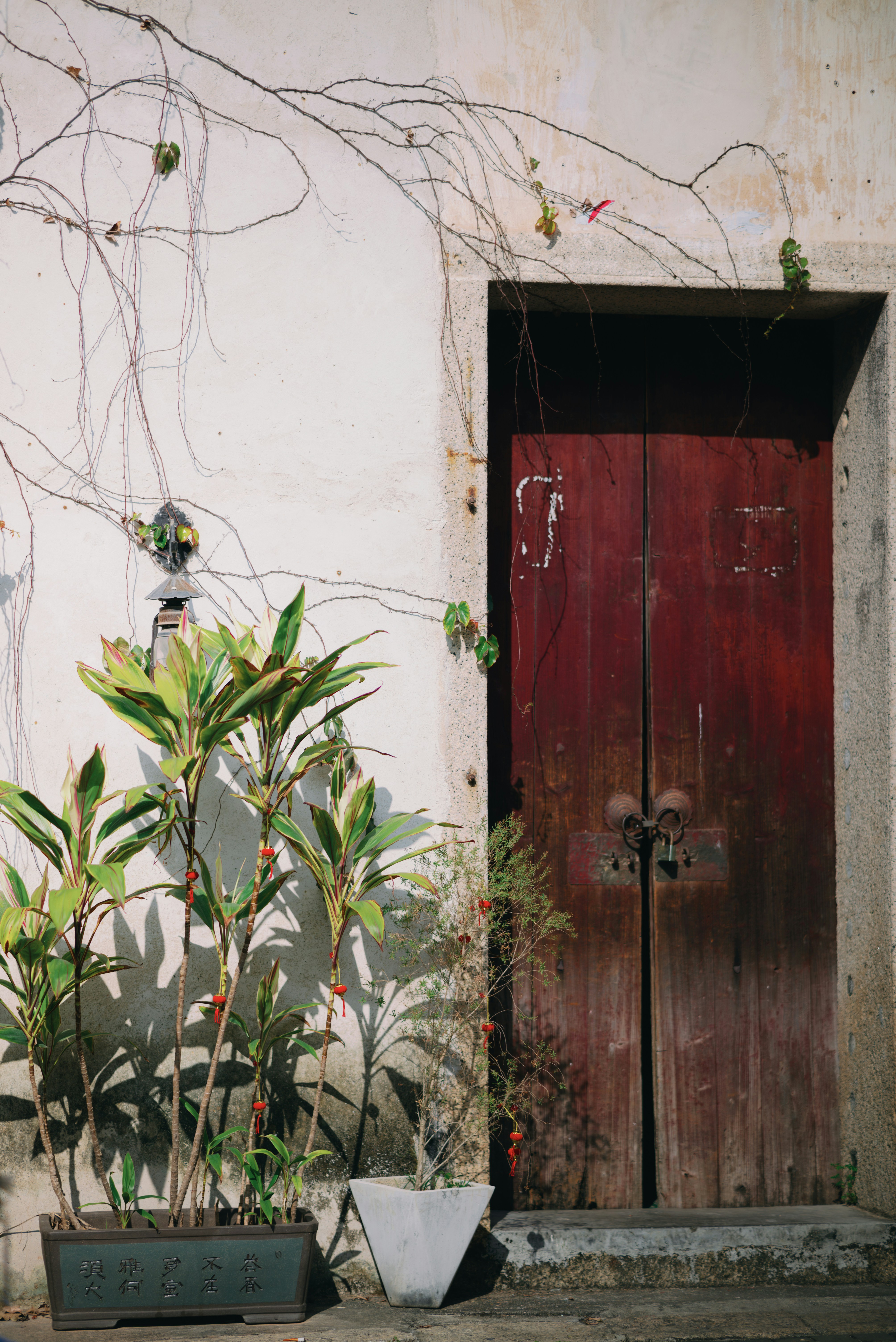 Photo by wangbinghua