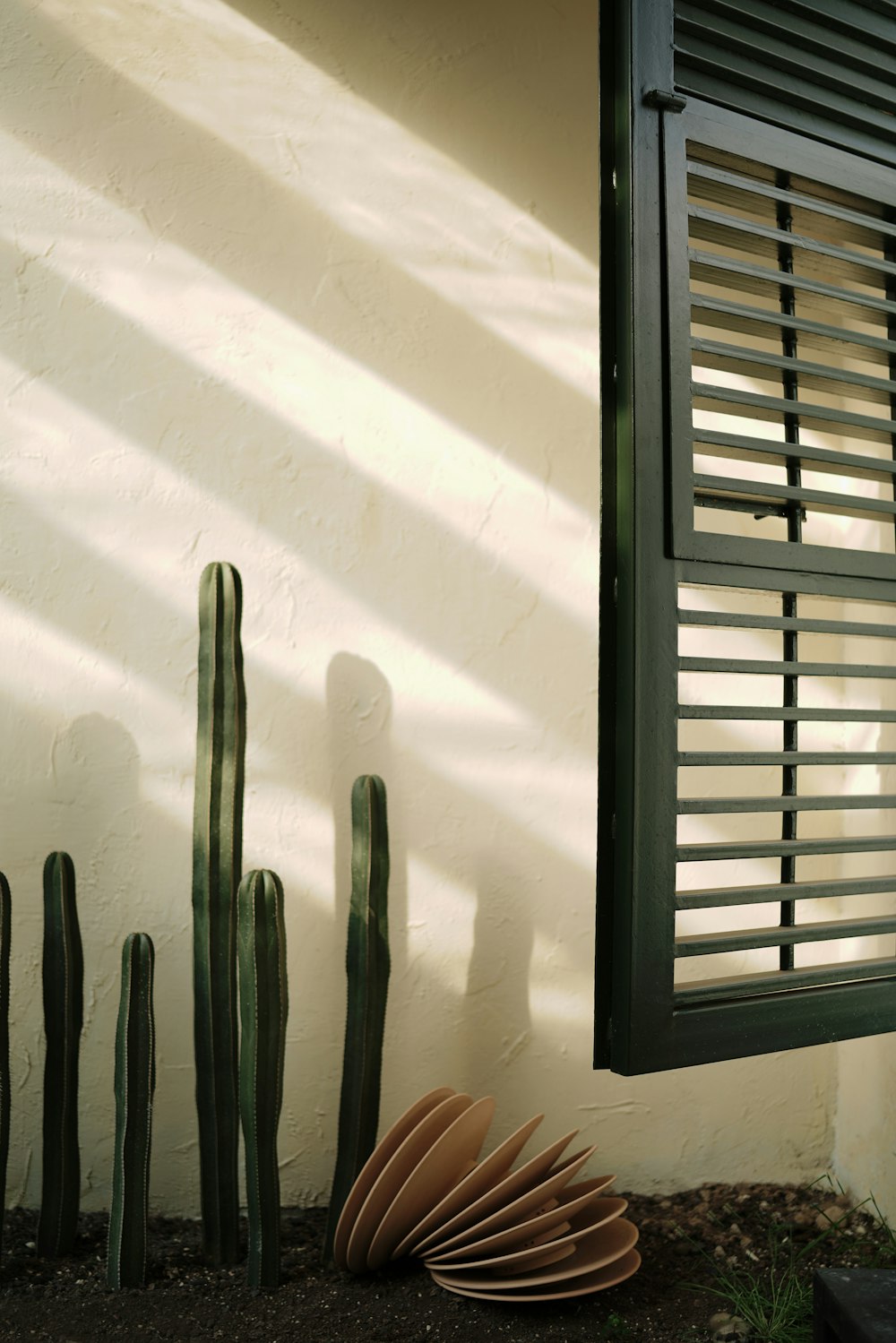 a house with a window and a cactus next to it