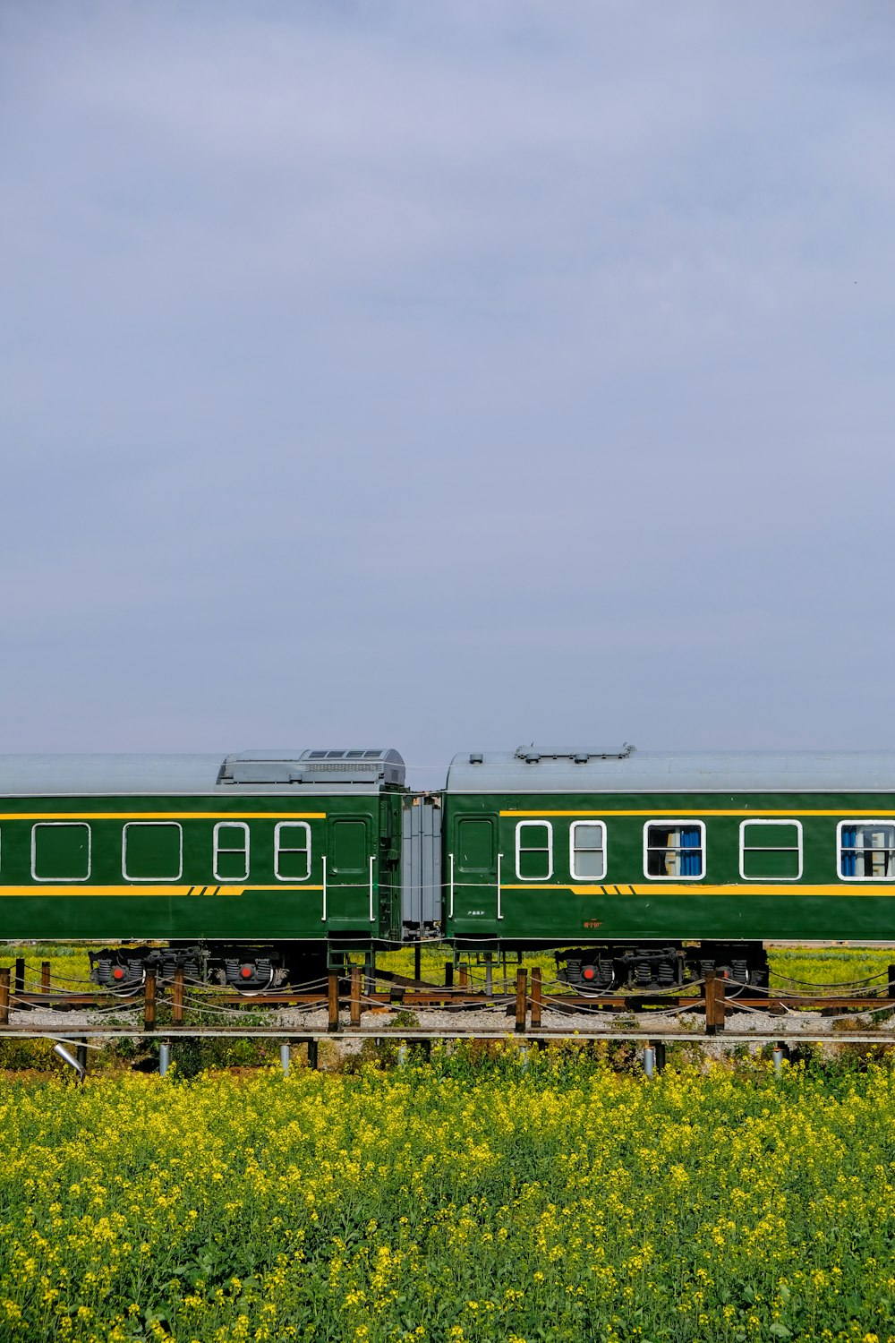 a green train traveling through a lush green field