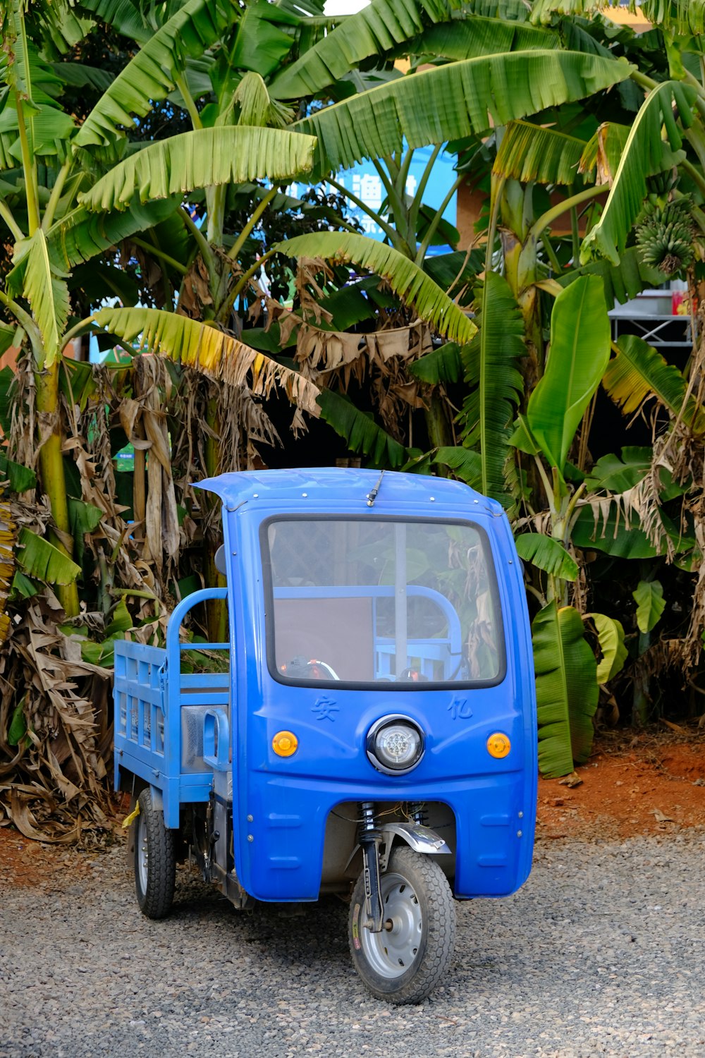 a small blue truck parked next to a bunch of trees