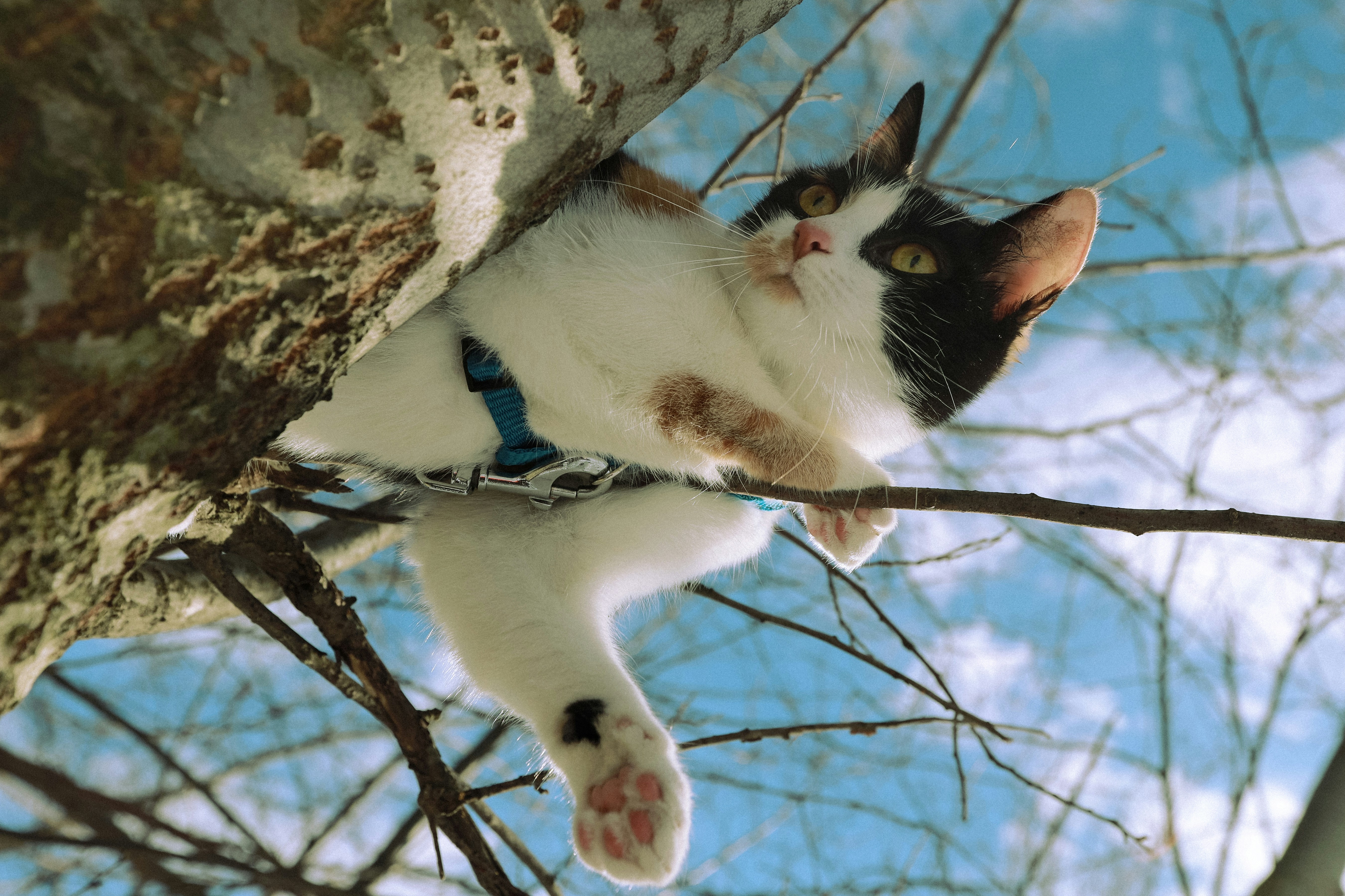 Exploring Every Corner (image credits: unsplash)