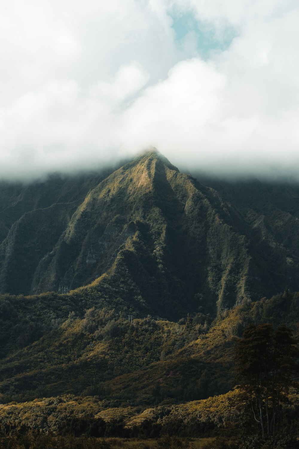 a mountain covered in clouds and trees on a cloudy day