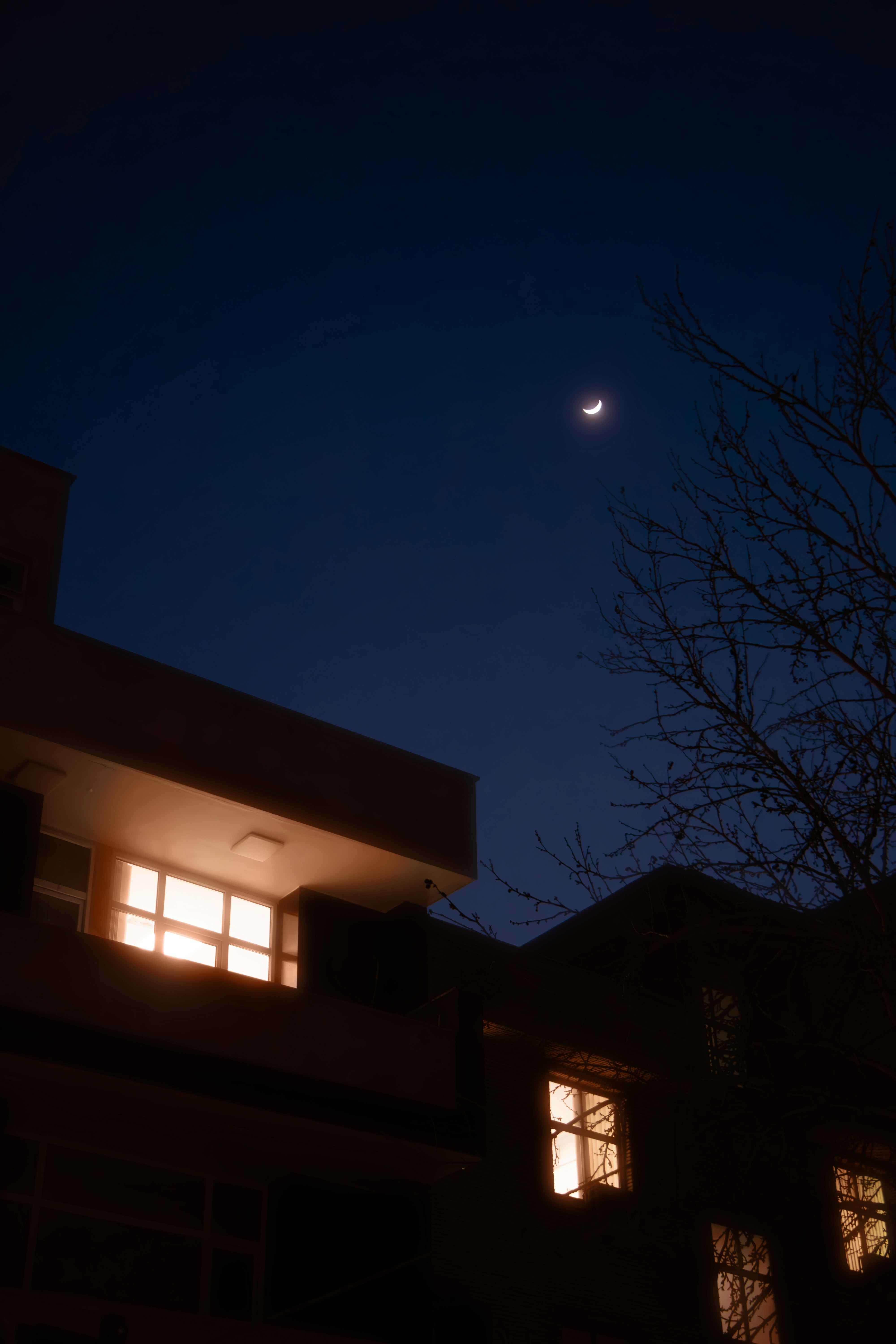 Un edificio con un árbol frente a él por la noche