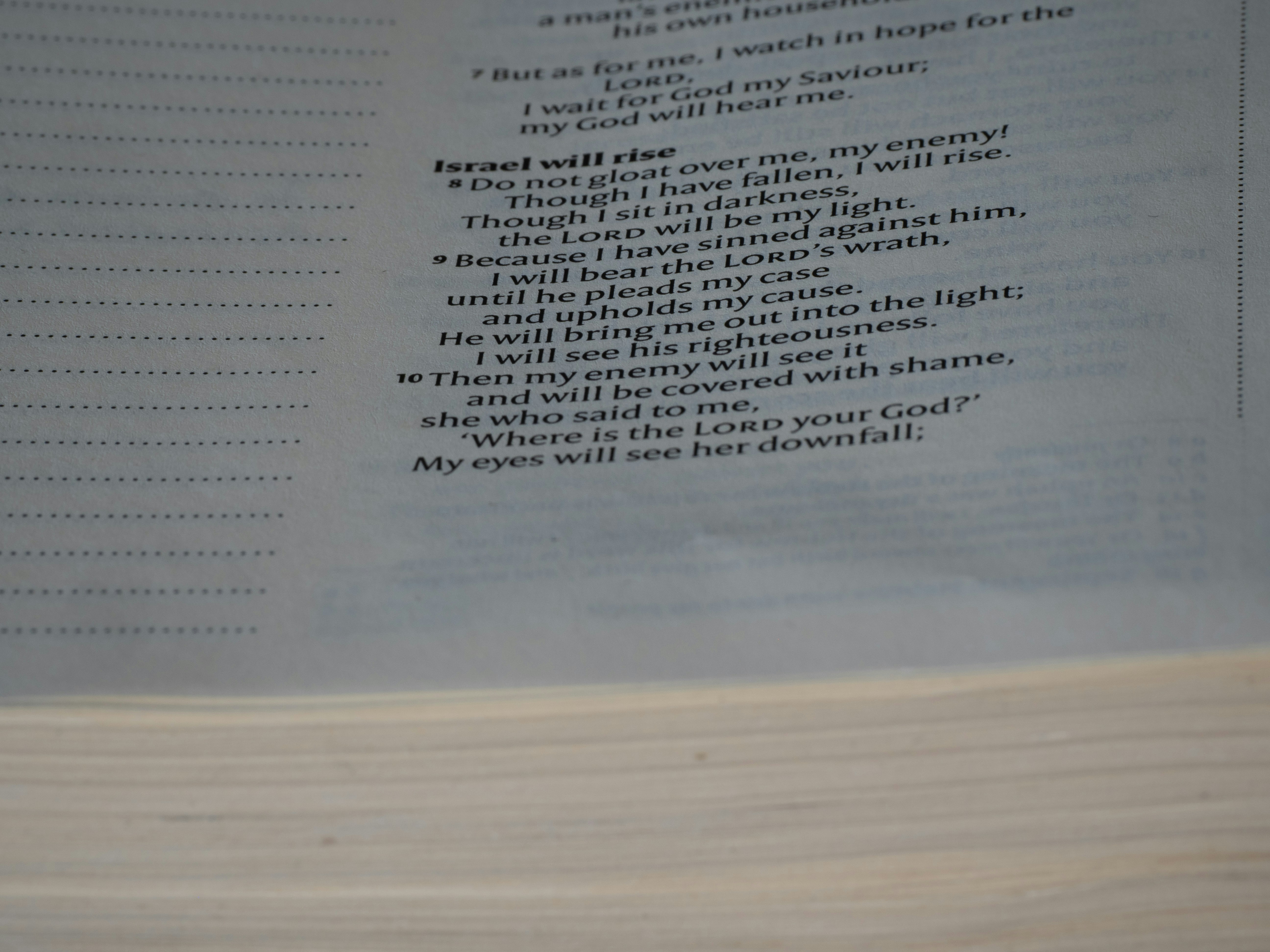 close up, bokeh, macro, blur, blurred background, close focus, bible, old testament, hebrew bible, christian, judaism, history, text, reading, bible study, devotions, New International Version, type, typography, canon, christianity, scripture, old testament, hebrew bible, micah, micheas, minor prophet, jotham, ahaz, hezekiah,