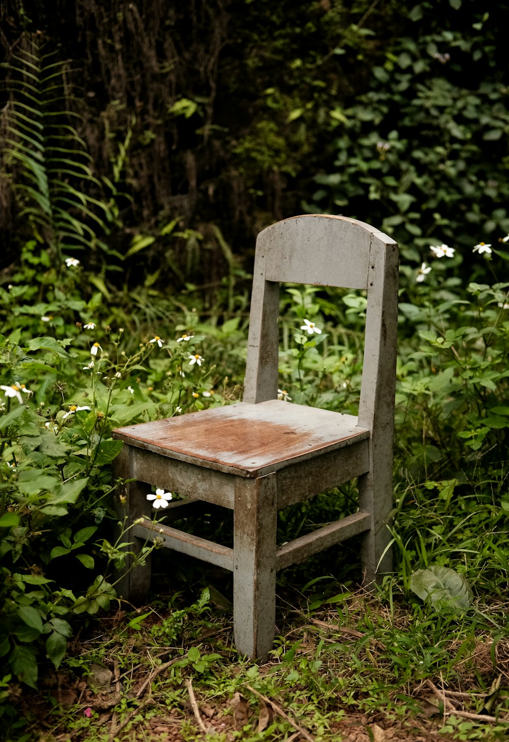 uma cadeira de madeira sentada no meio de uma floresta