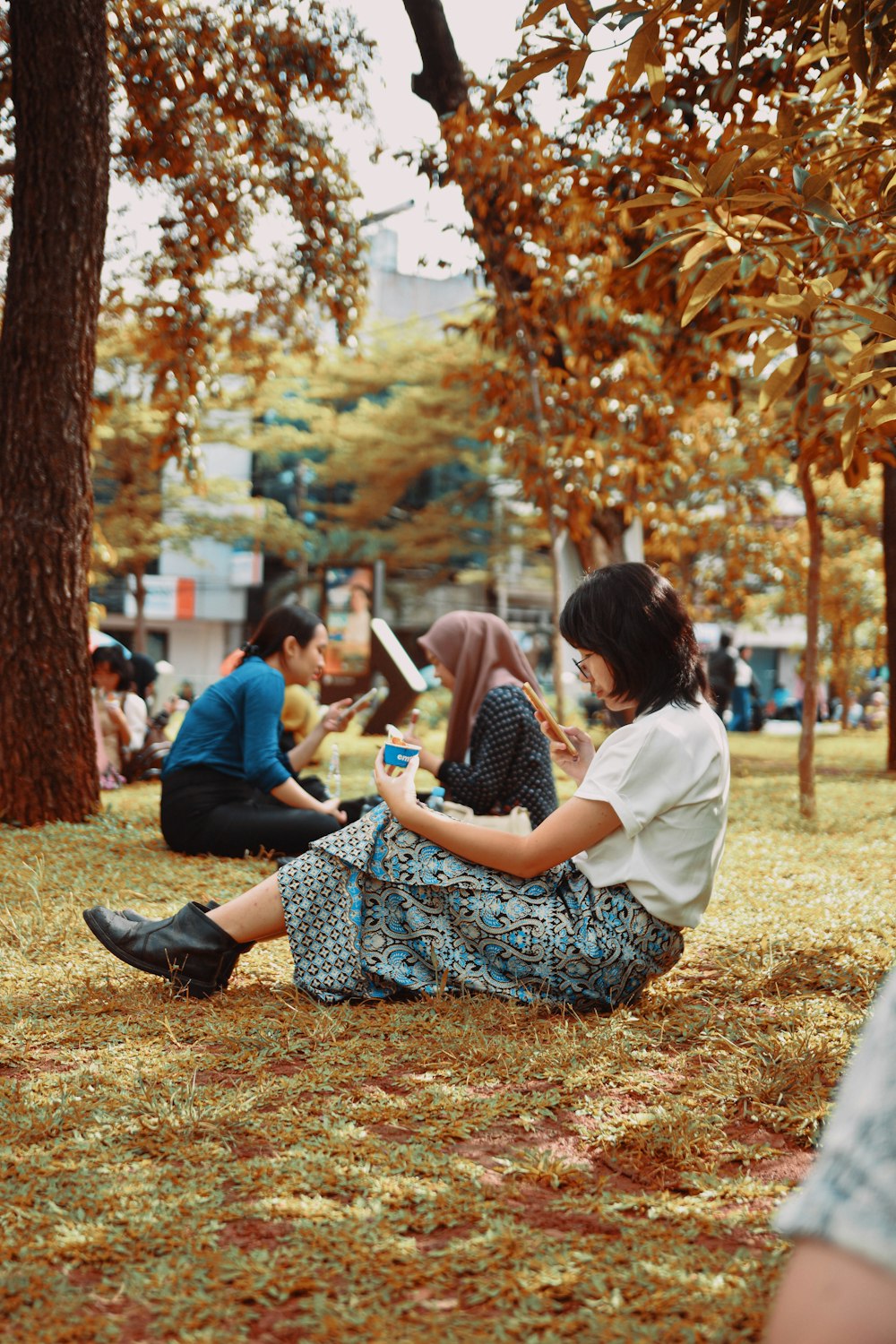 a group of people sitting on the ground in a park