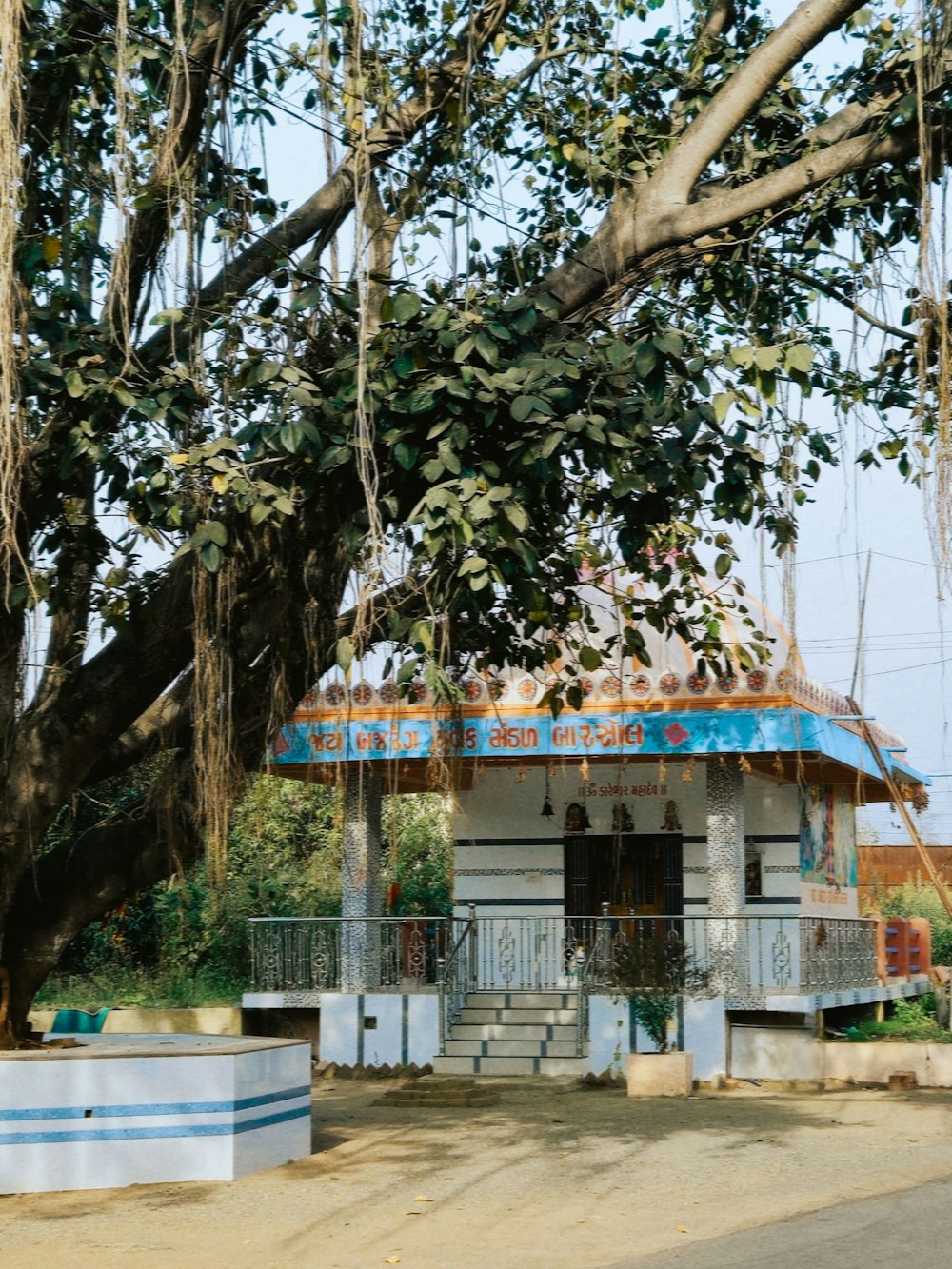 a small white building with a blue roof under a tree