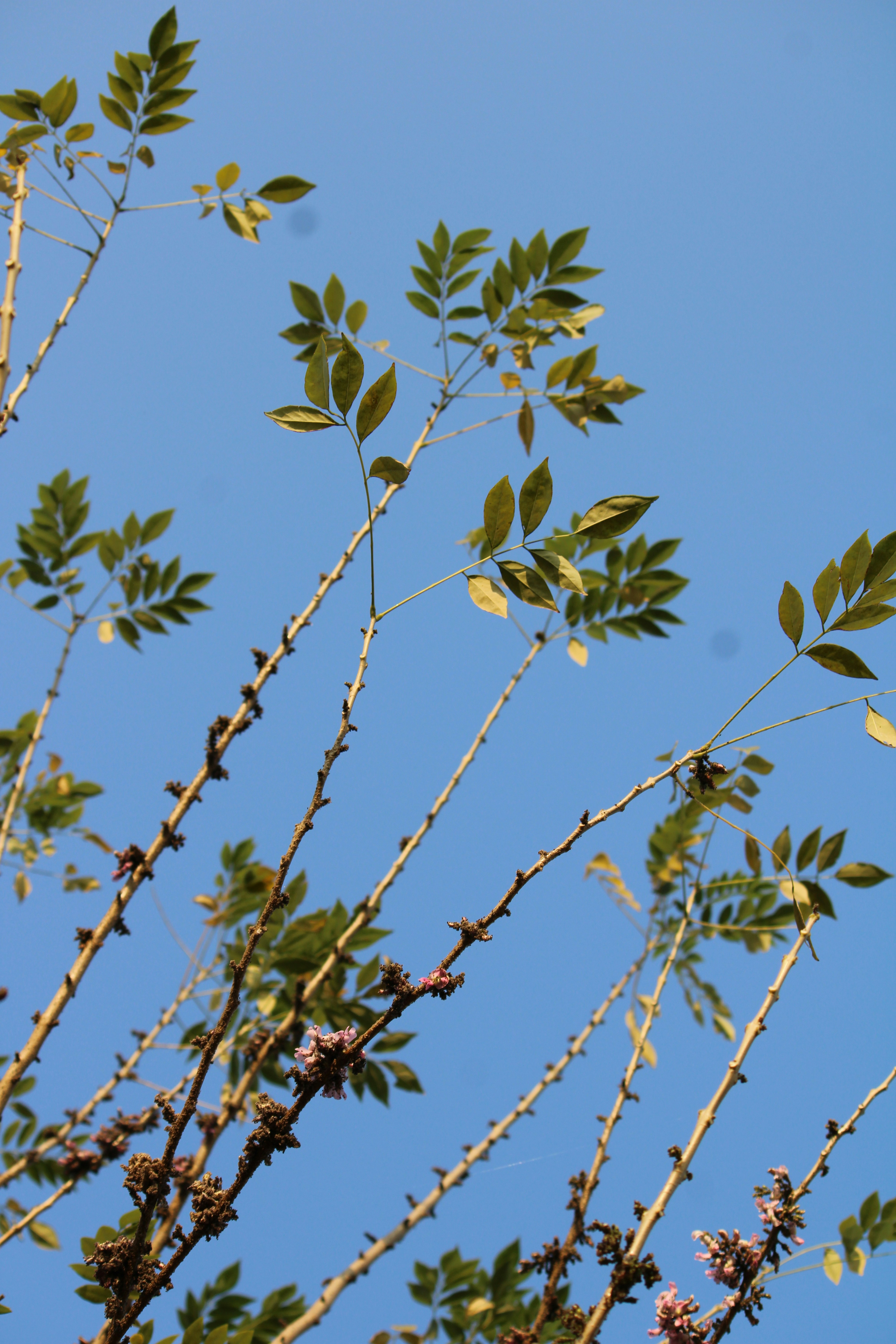 Photo by prathamesh28