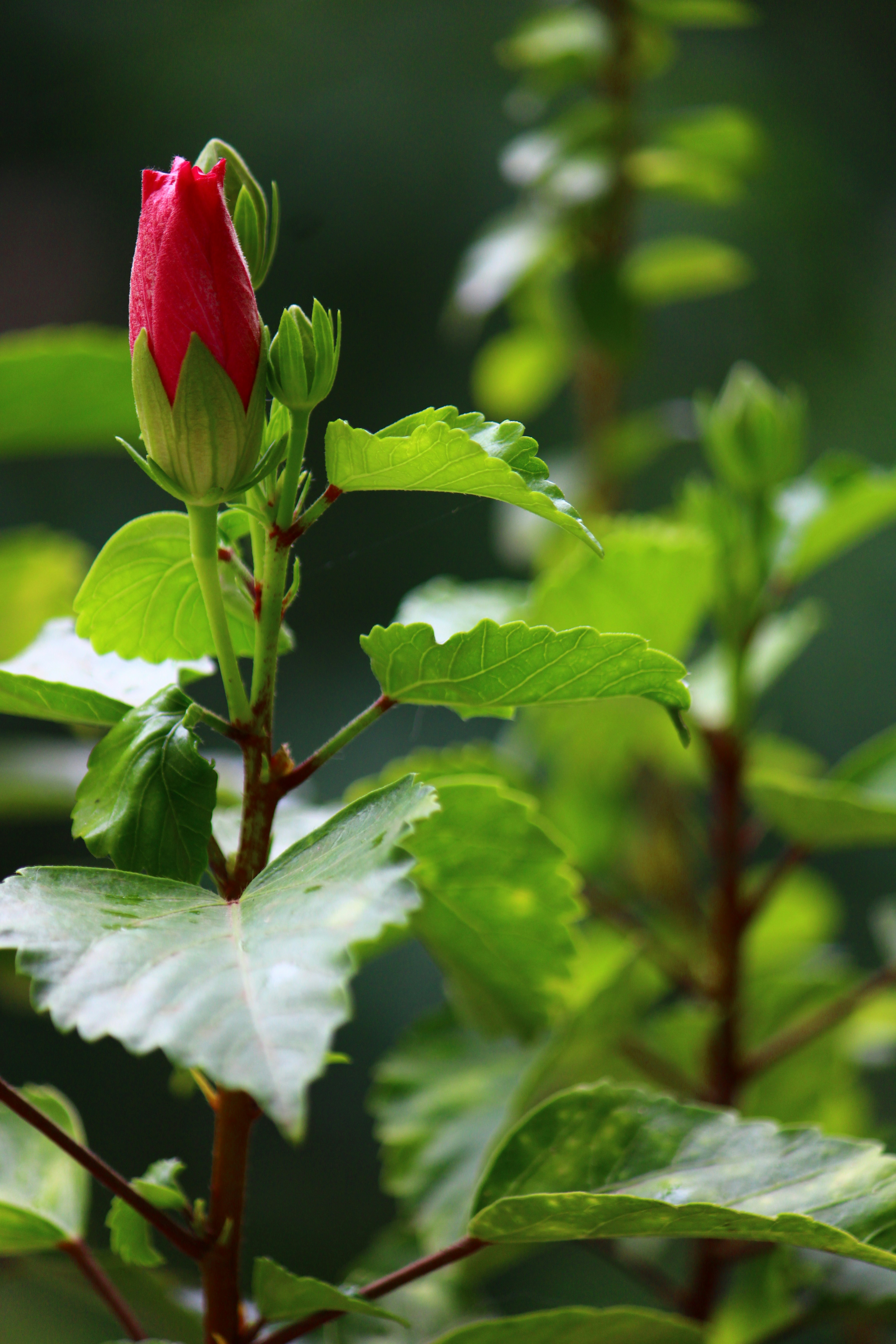 Photo by prathamesh28