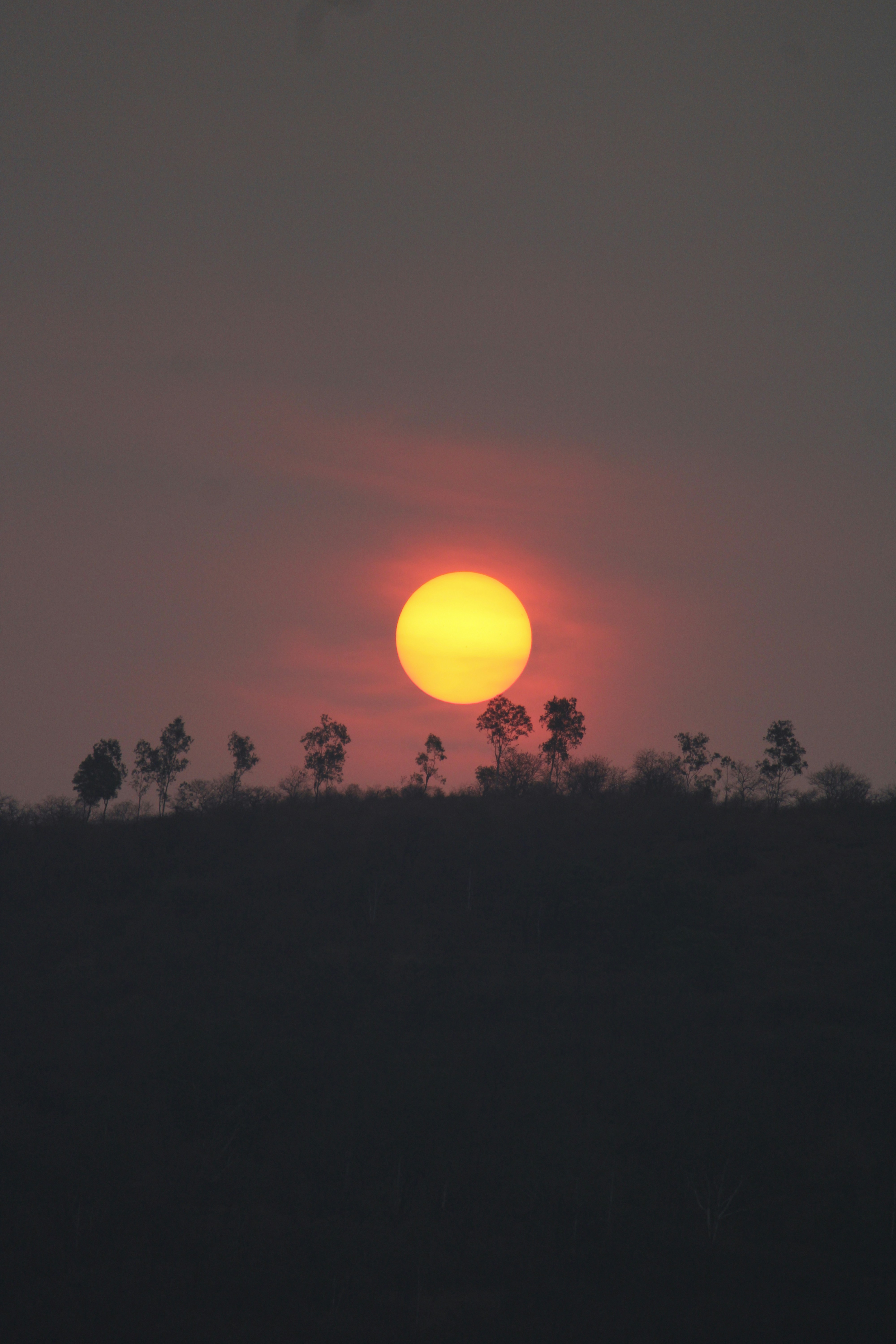 Photo by prathamesh28