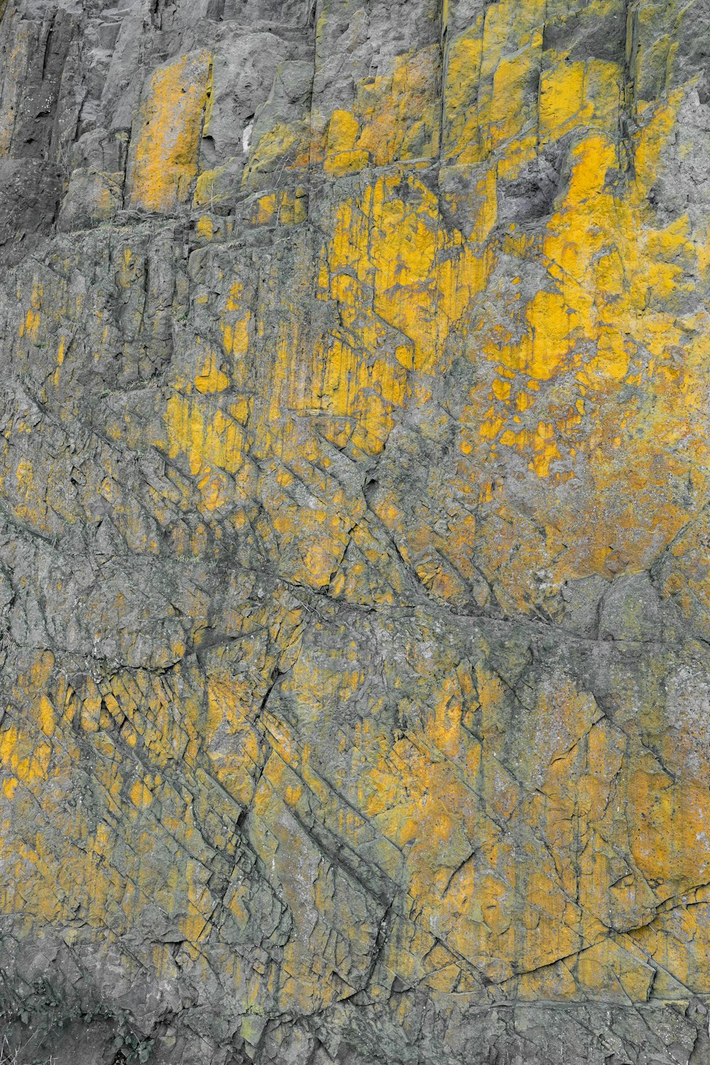 a close up of a rock with yellow lichen on it