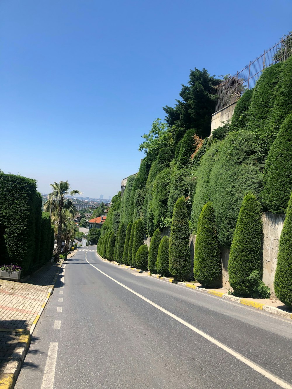 a street lined with trees and bushes on the side of a hill