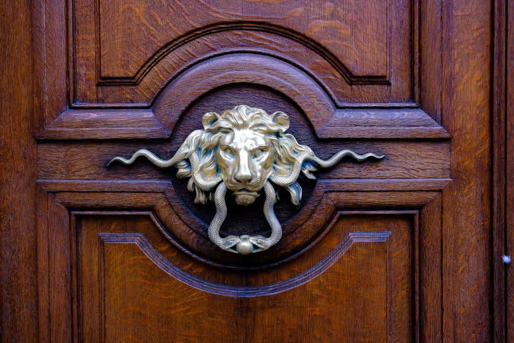 a close up of a door with a lion head on it