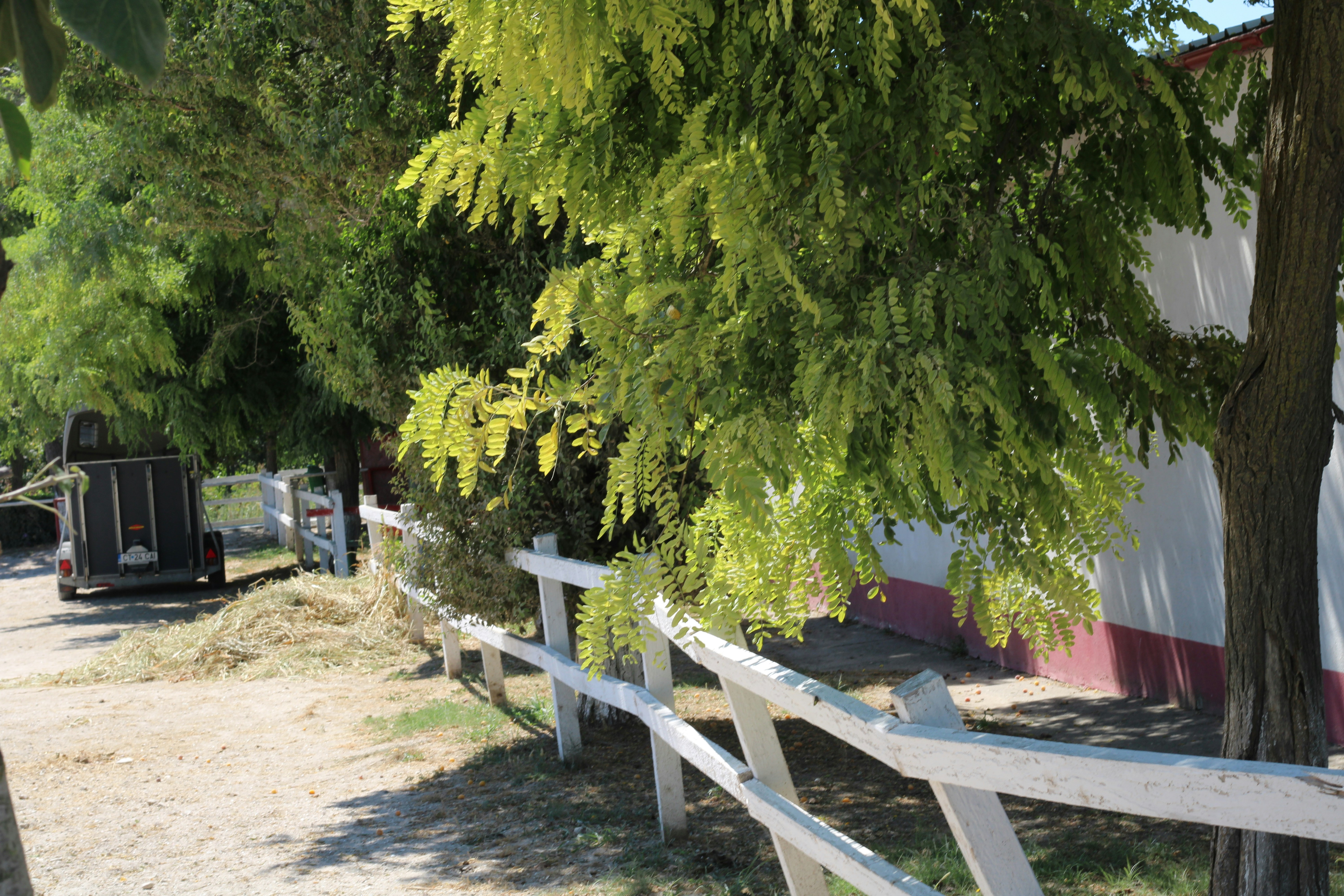 Photo by thorai9akira