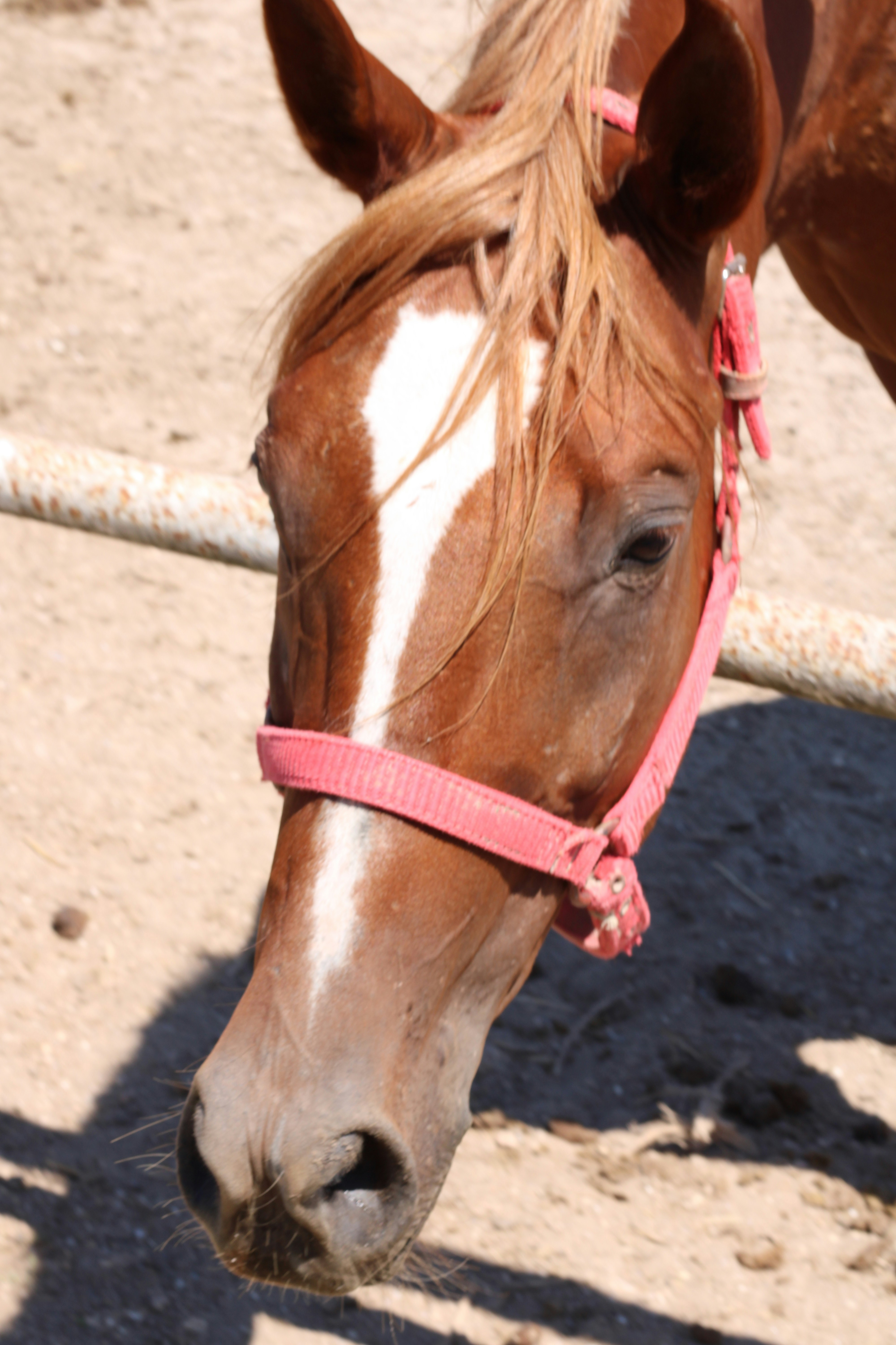 Photo by thorai9akira