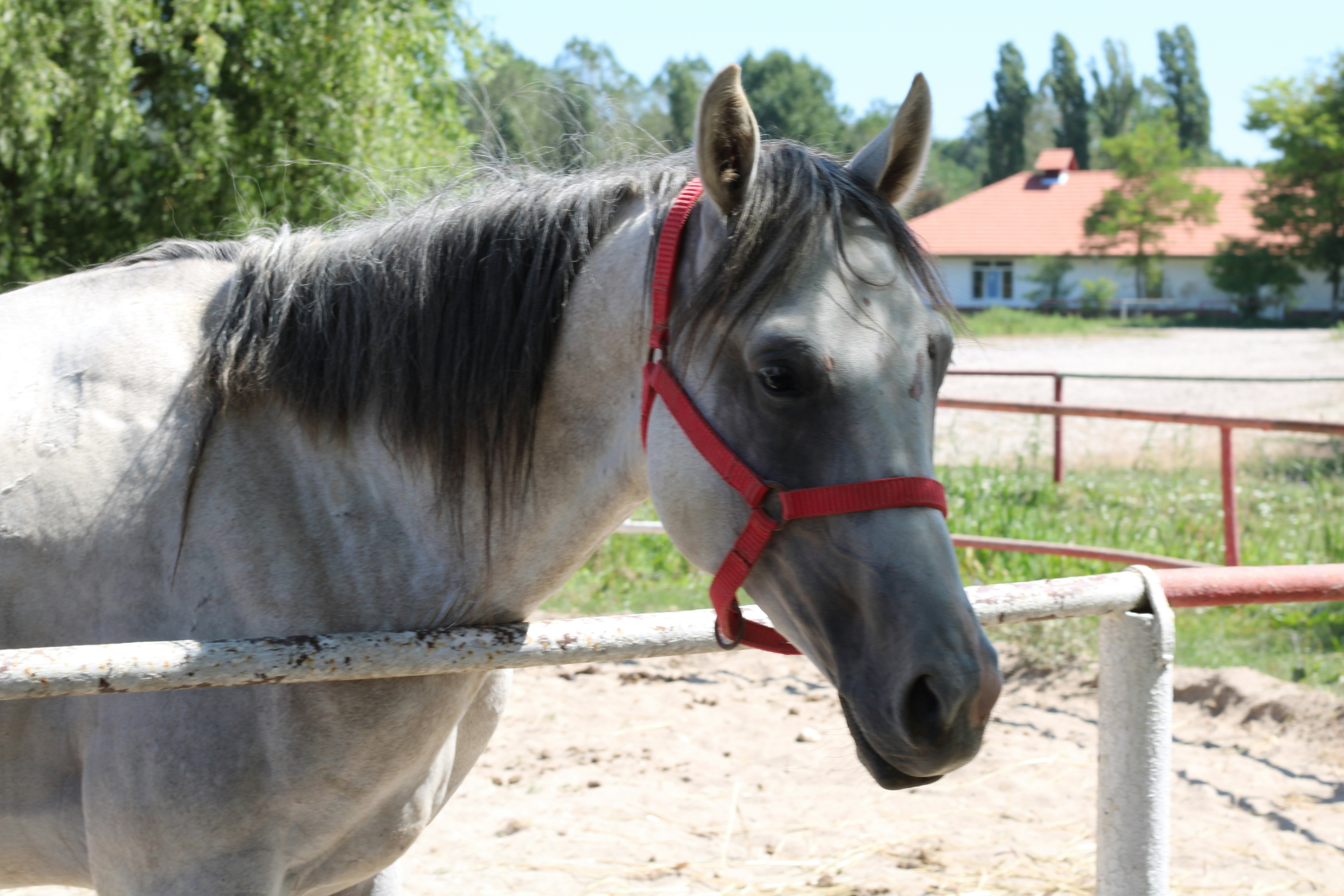 Photo by thorai9akira