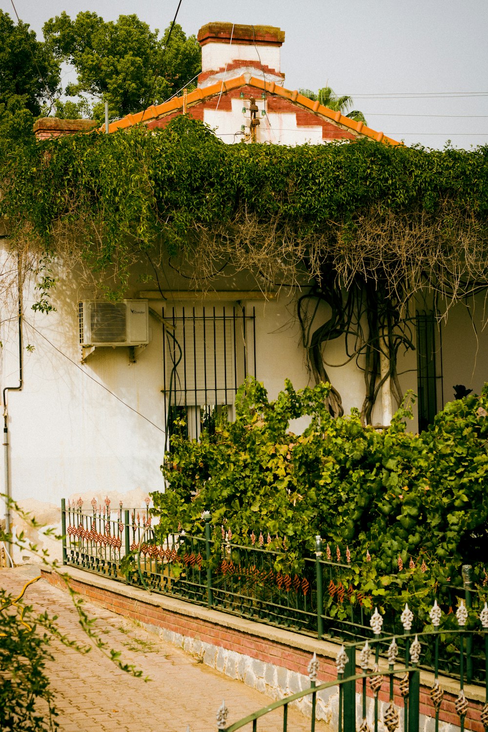 a white house with vines growing on the roof