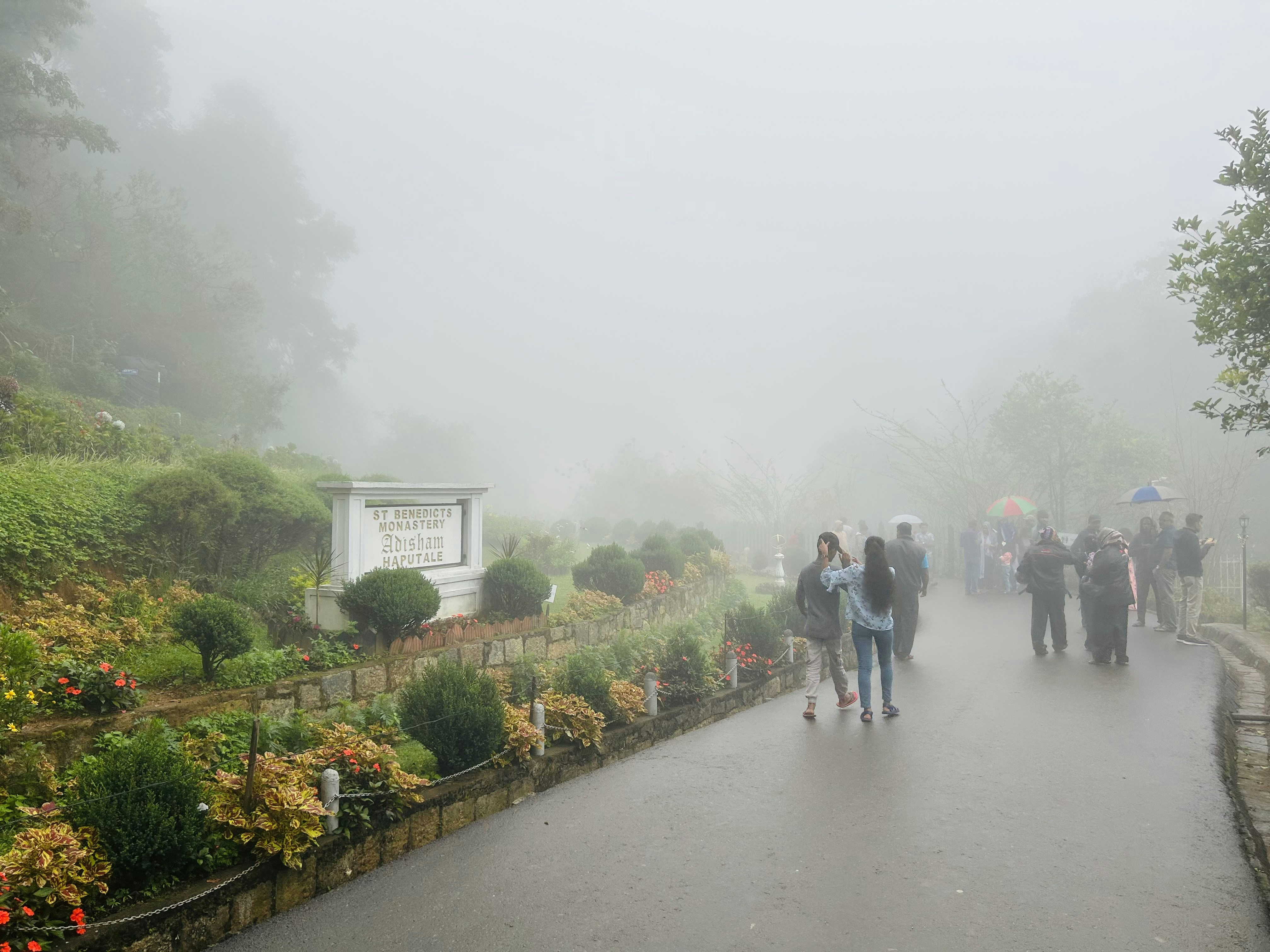 a group of people walking down a road in the rain