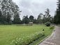 a lush green park filled with lots of trees