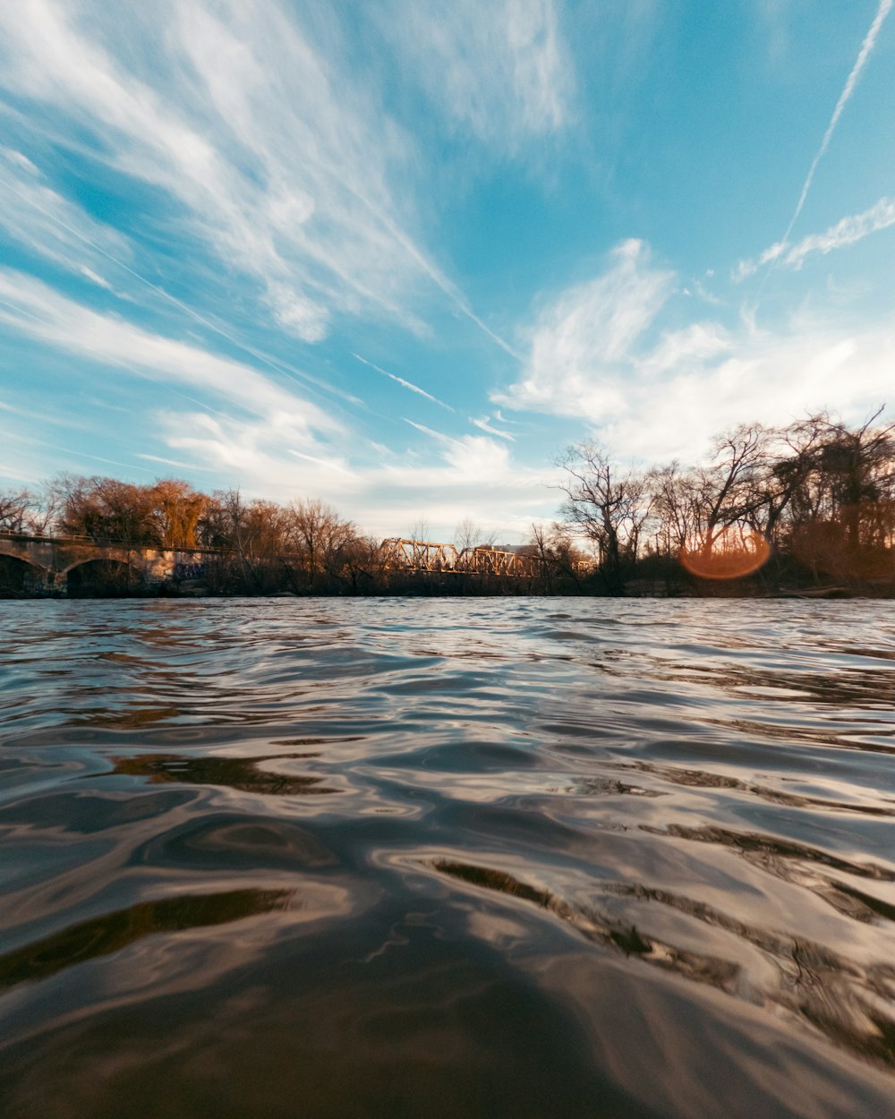 a body of water with trees in the background