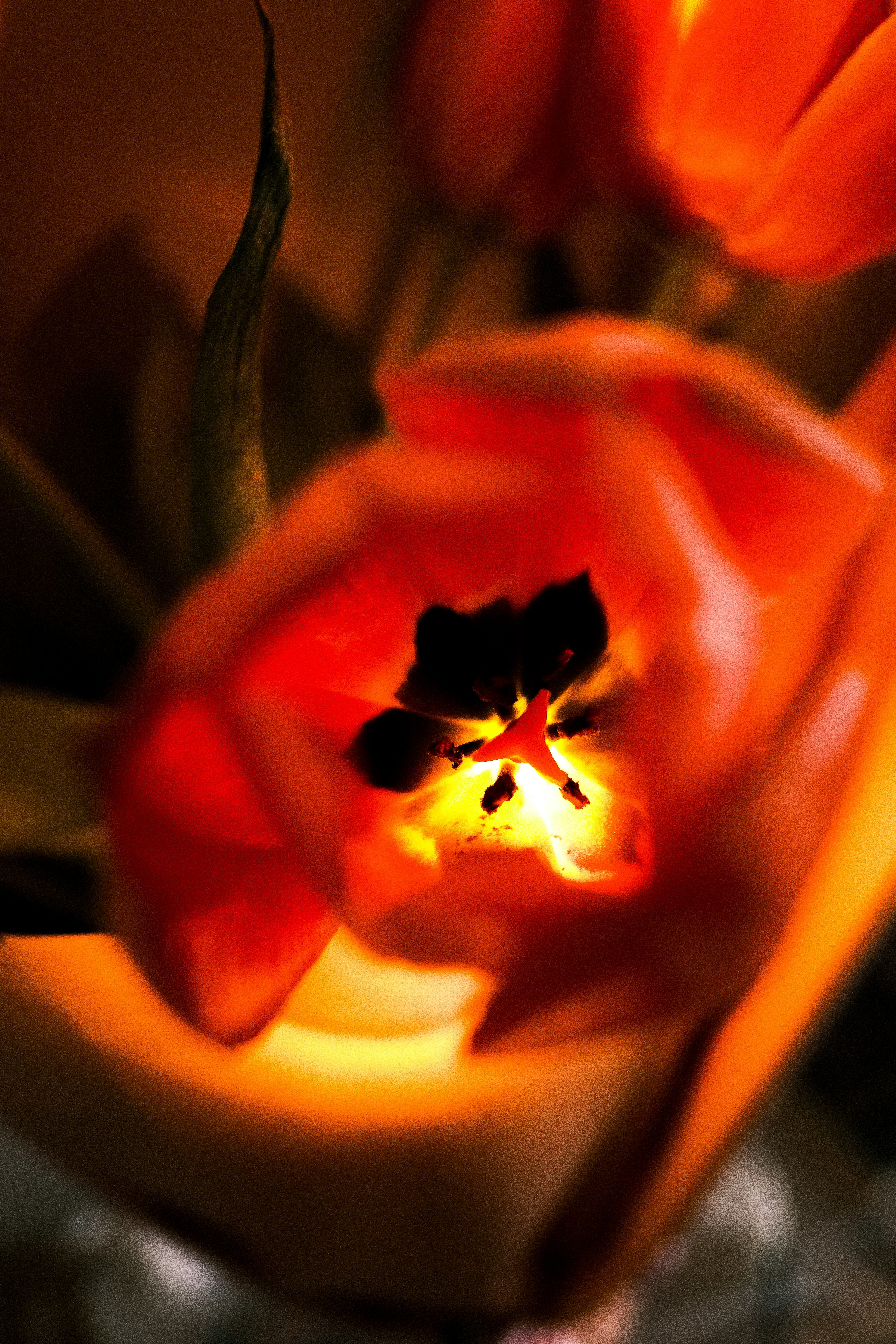 valentine's day wallpaper, wallpaper, Valentine Crafts for Adults: Creative DIY Ideas 1