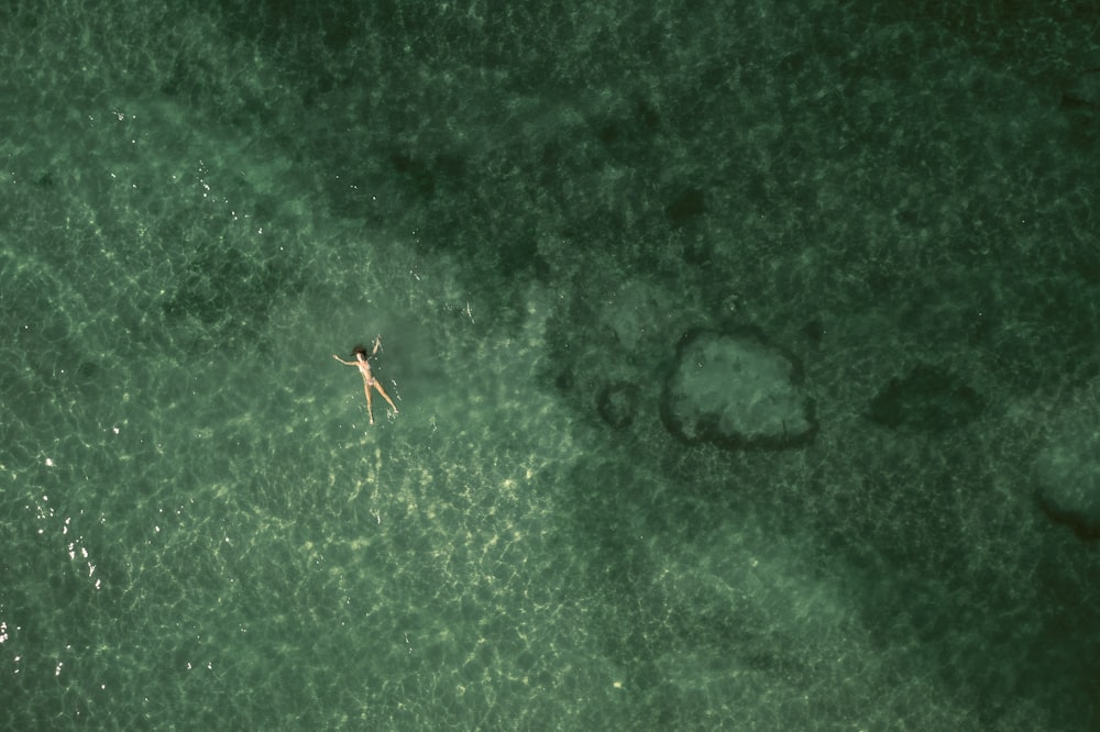 una persona in uno specchio d'acqua con una tavola da surf